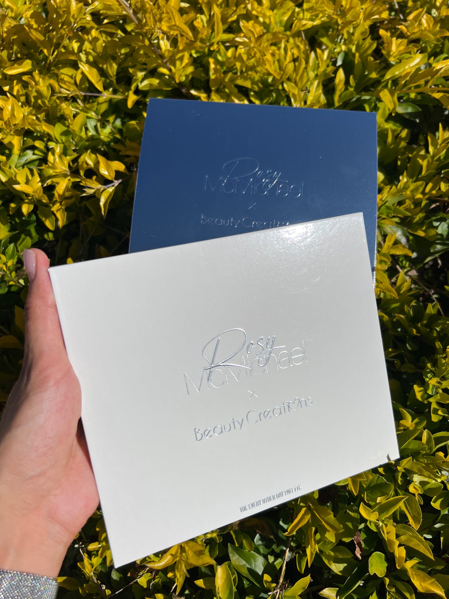 The Other Everyday palette -Rosy McMichael vol 2