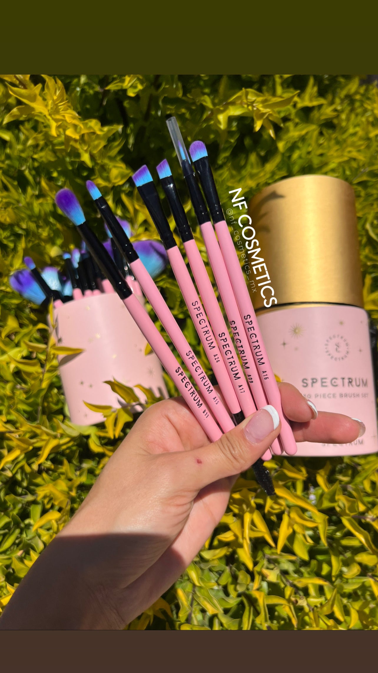 Set de 30 brochas Spectrum Collections