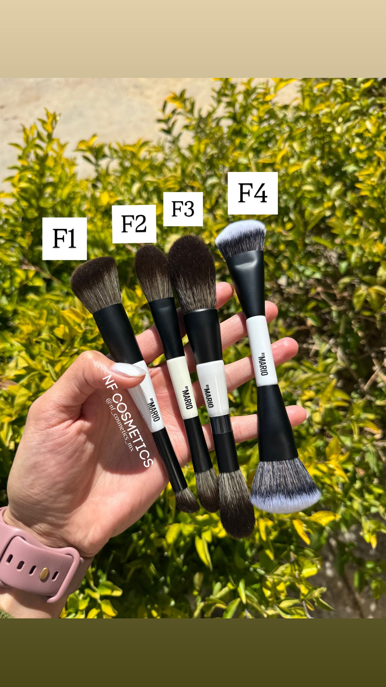 MAKEUP BRUSH MAKEUP BY MARIO F1