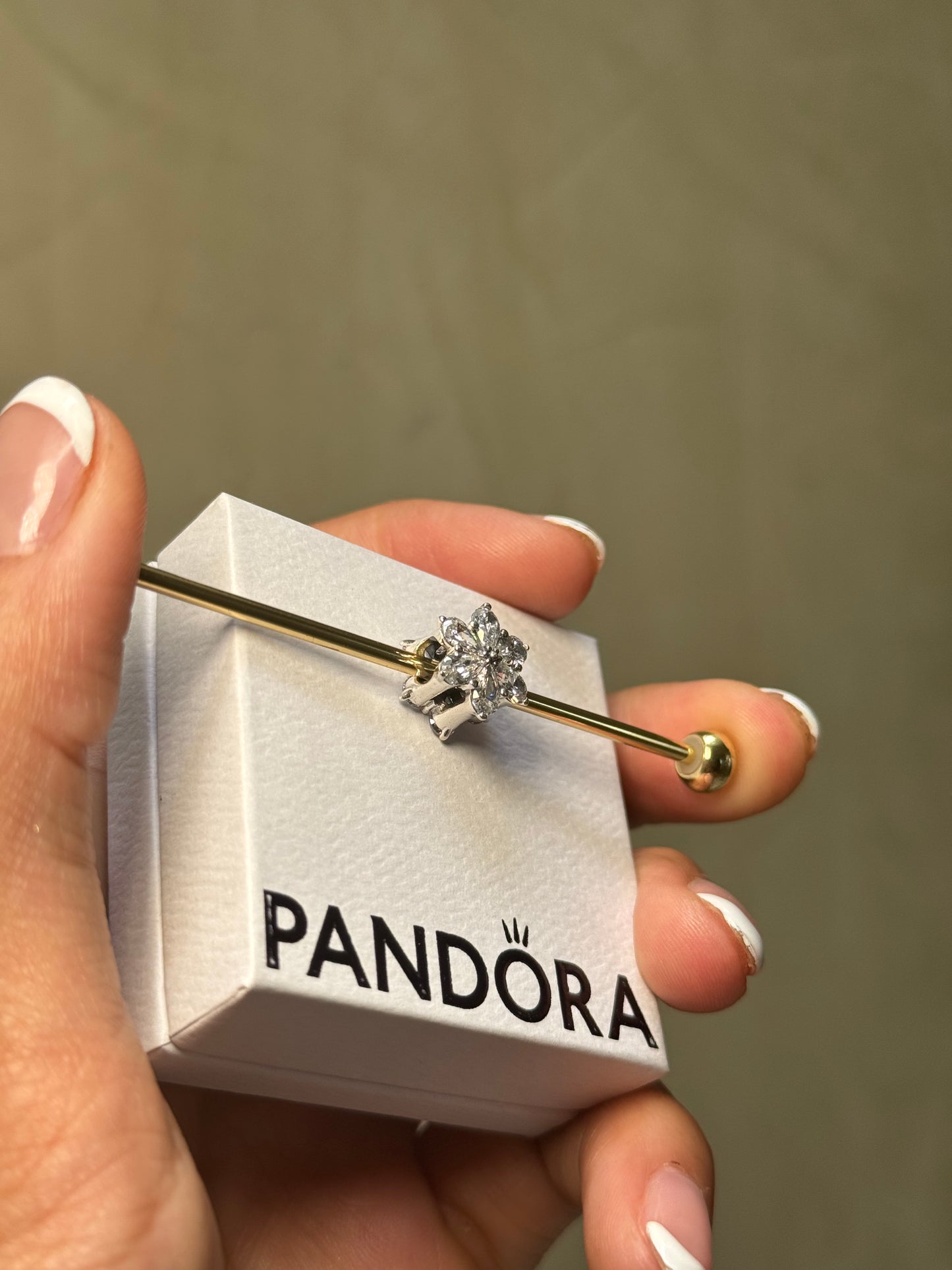 Charm Herbario Brillante PANDORA