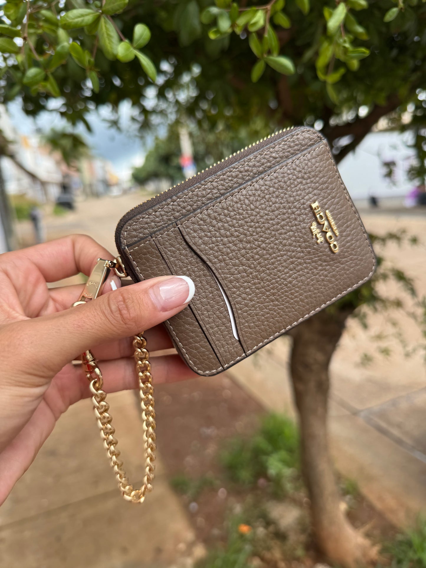 Zip Card Case Coach Cafe