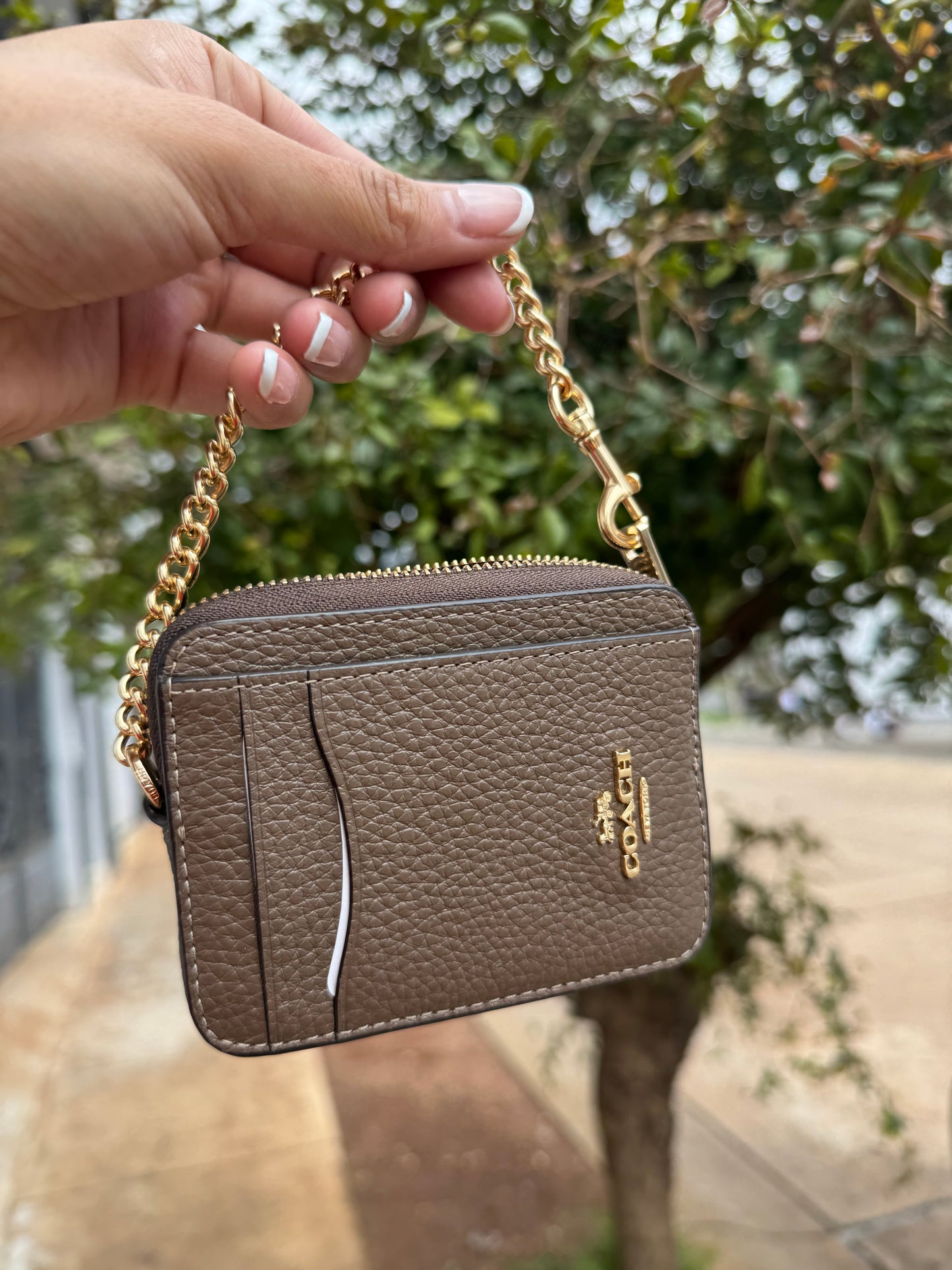 Zip Card Case Coach Cafe