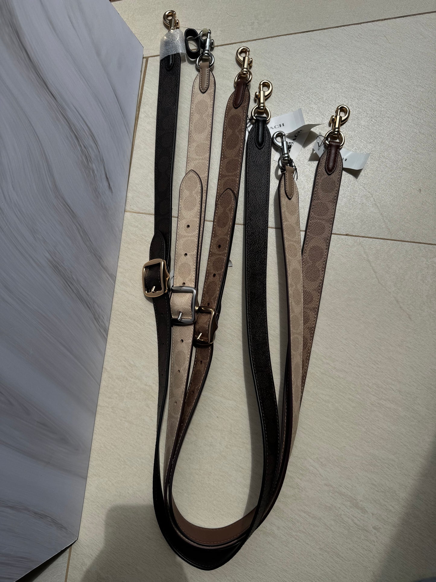 Strap Coach Beige con Logo