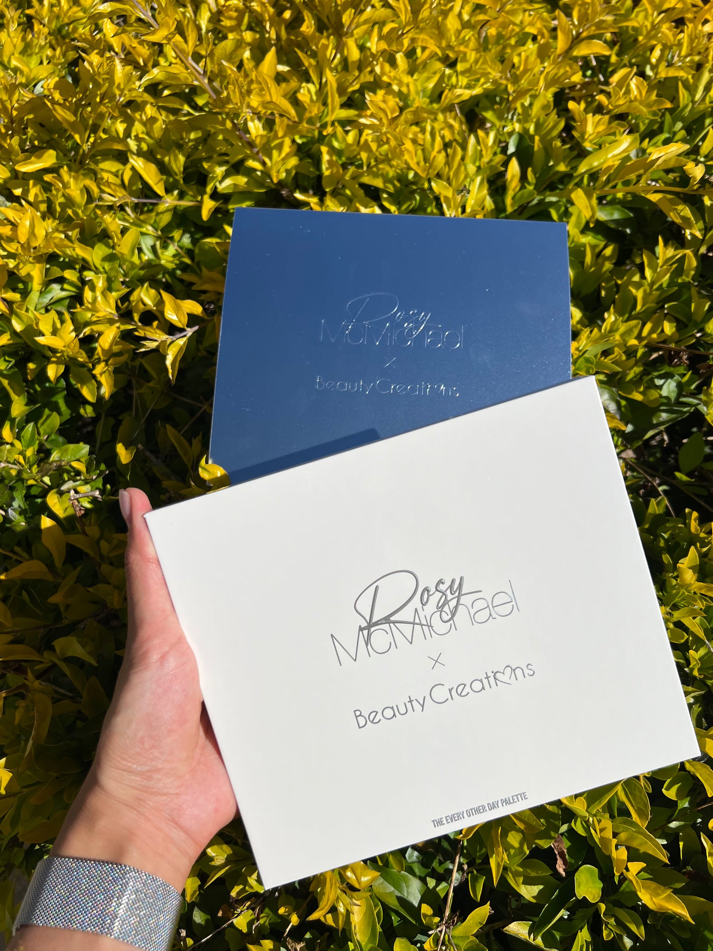 The Other Everyday palette -Rosy McMichael vol 2