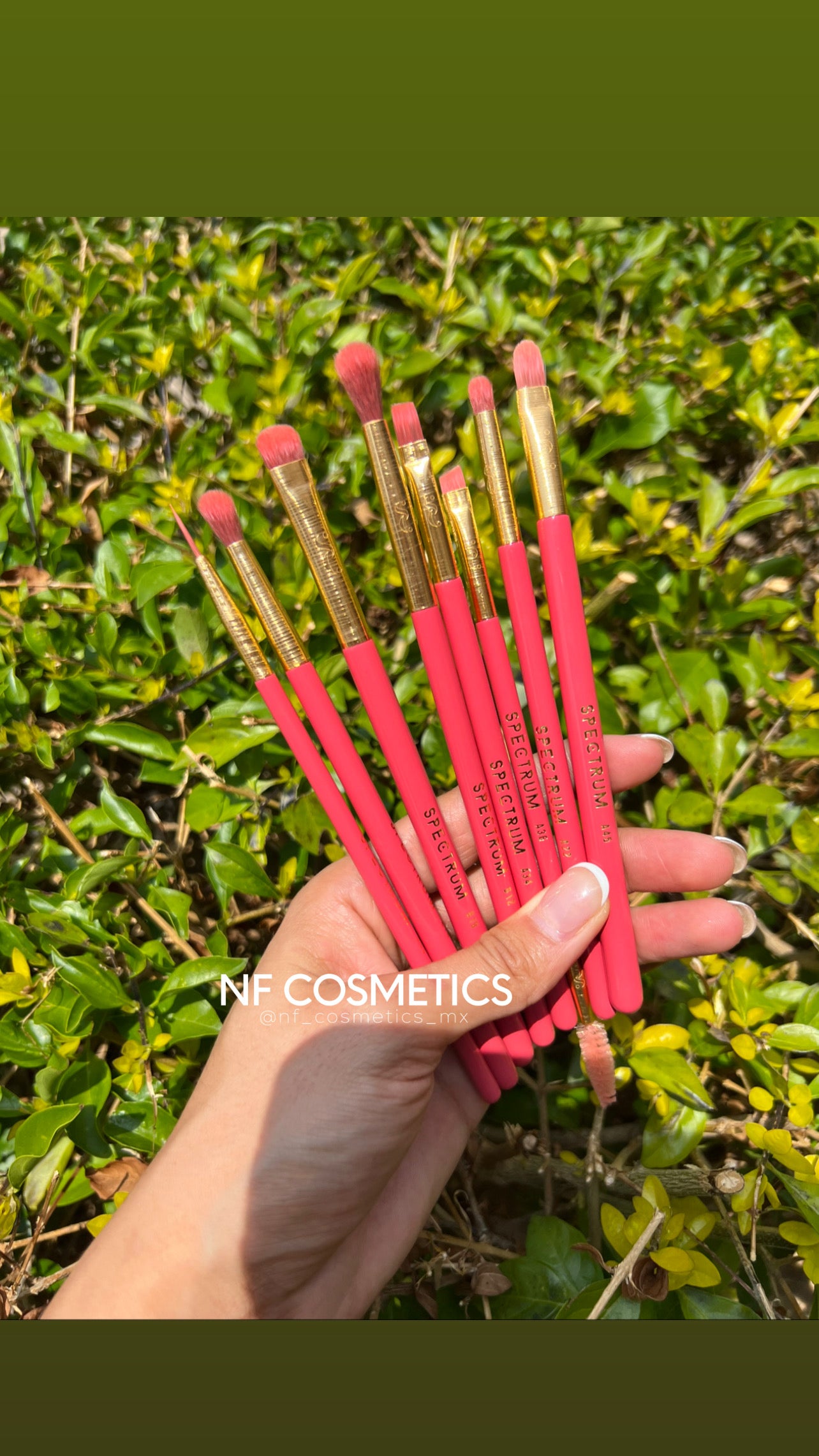 Set de 20 brochas Spectrum Collections