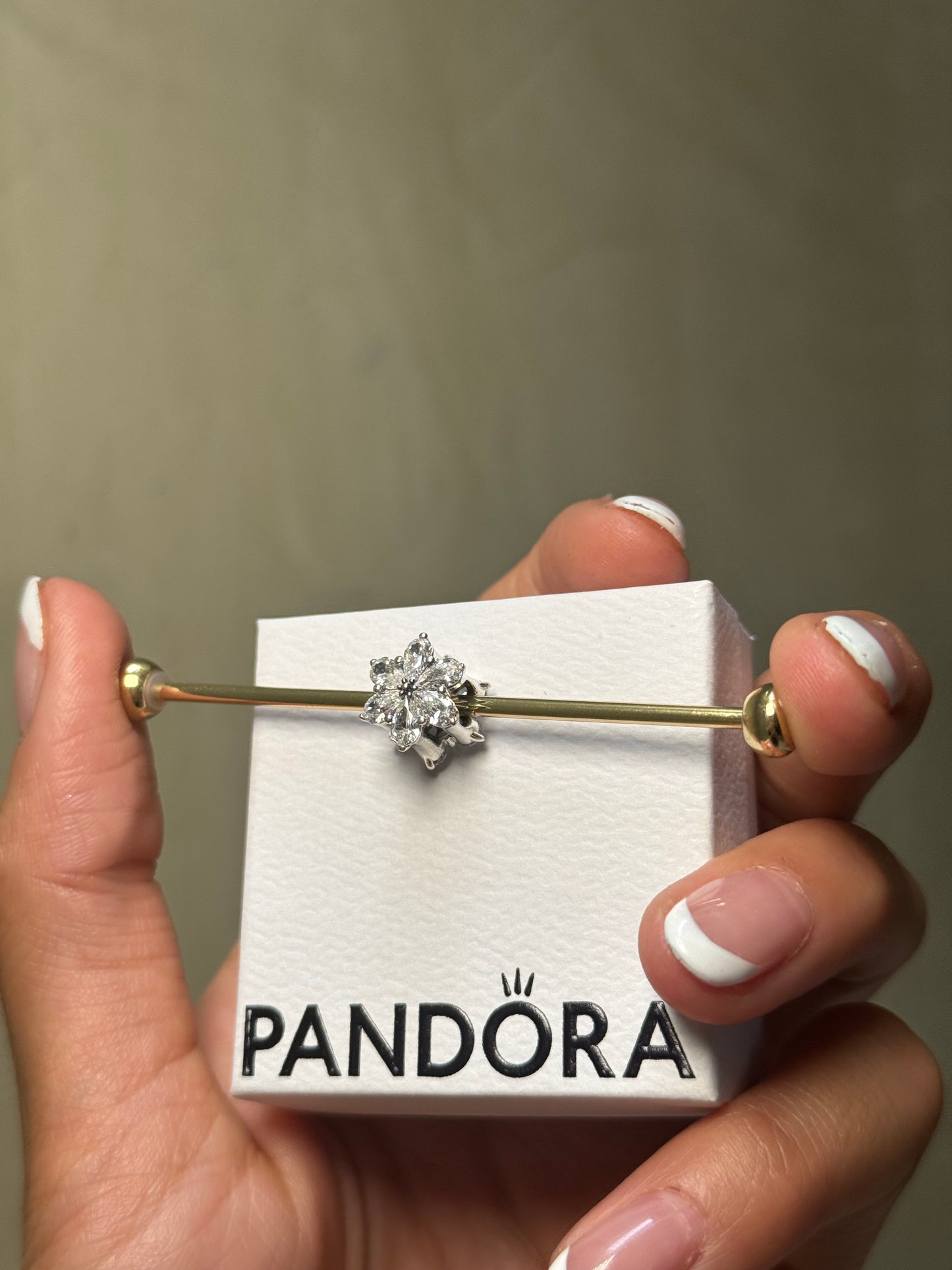 Charm Herbario Brillante PANDORA