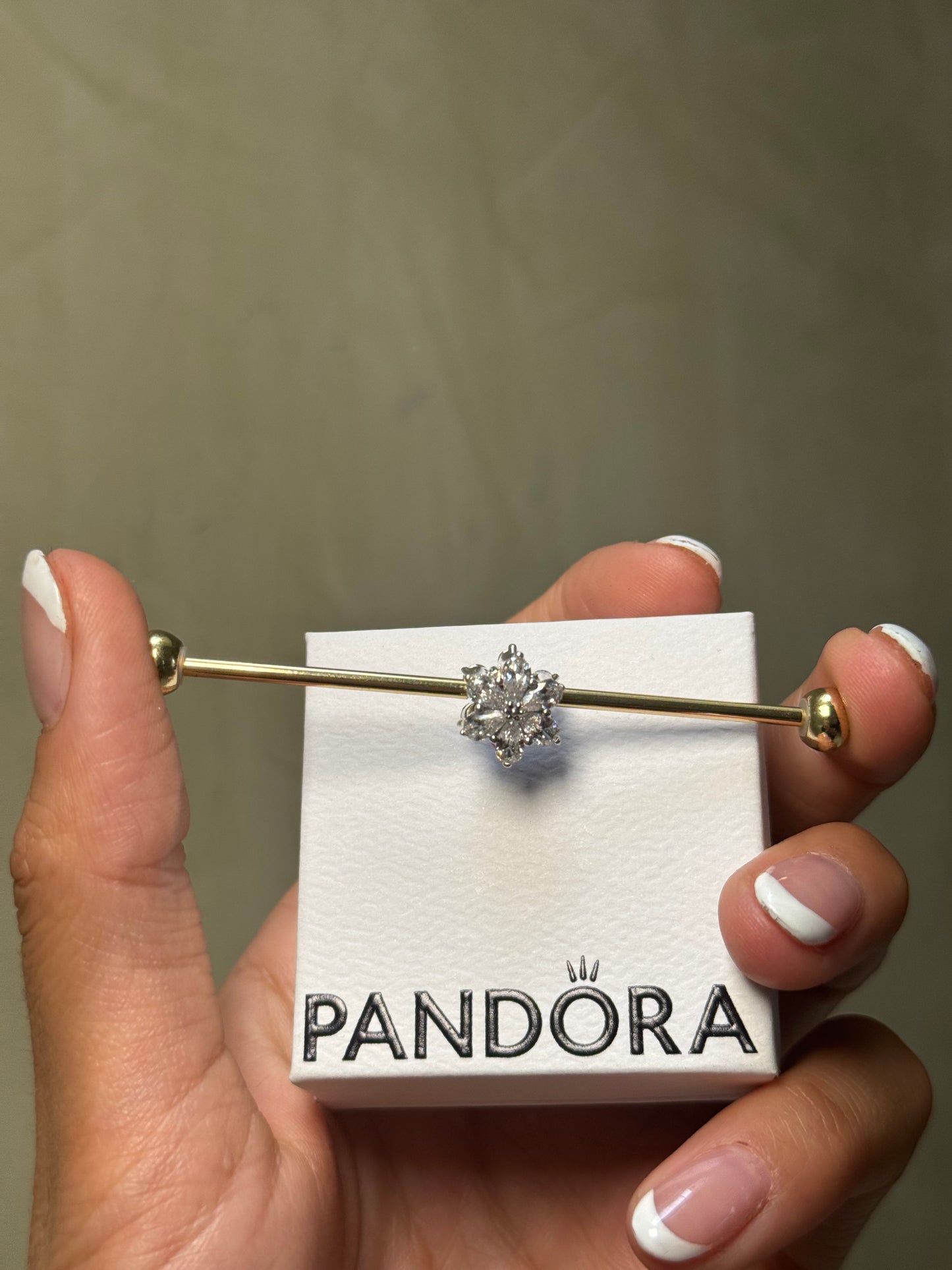 Charm Herbario Brillante PANDORA
