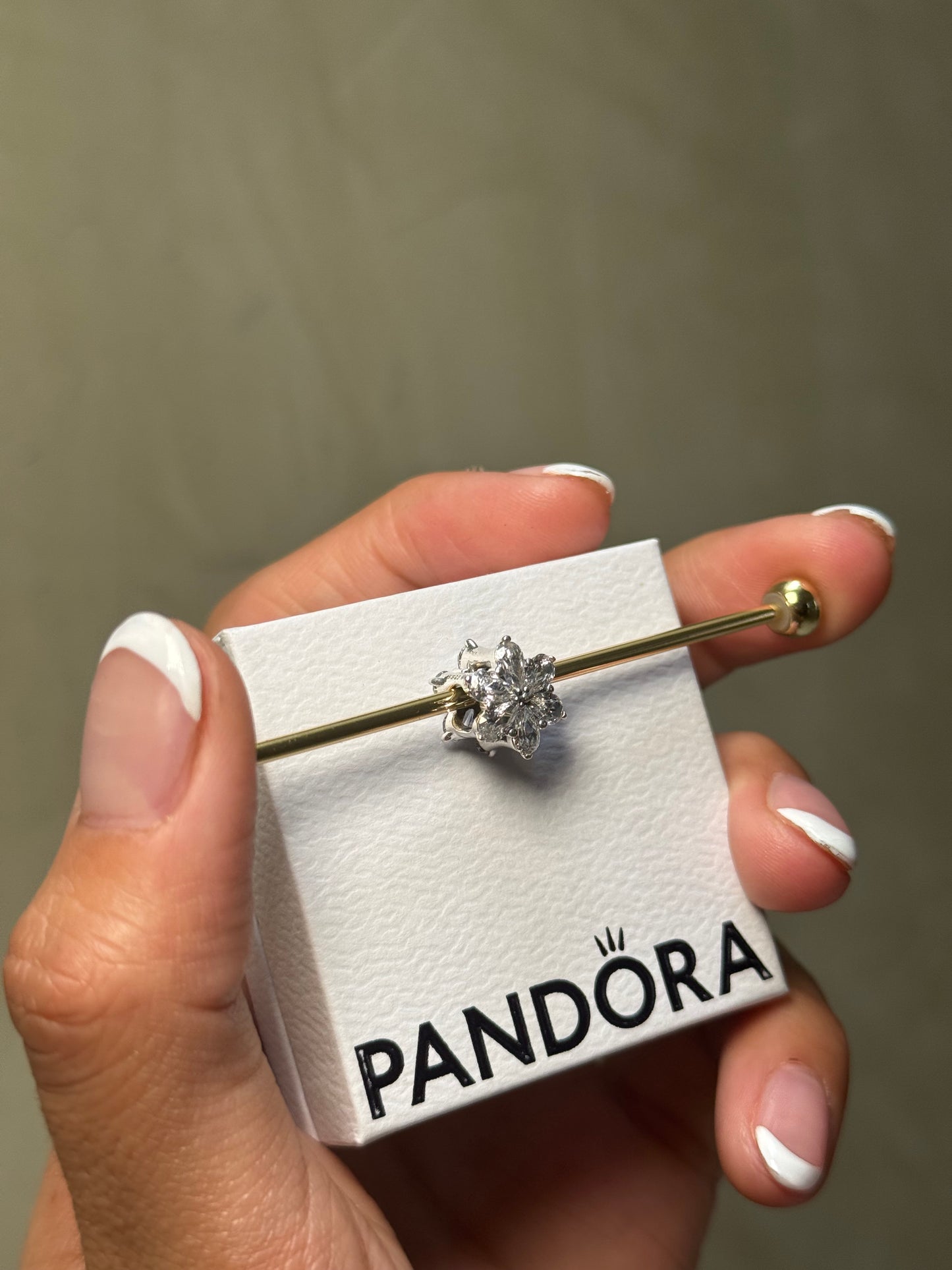 Charm Herbario Brillante PANDORA