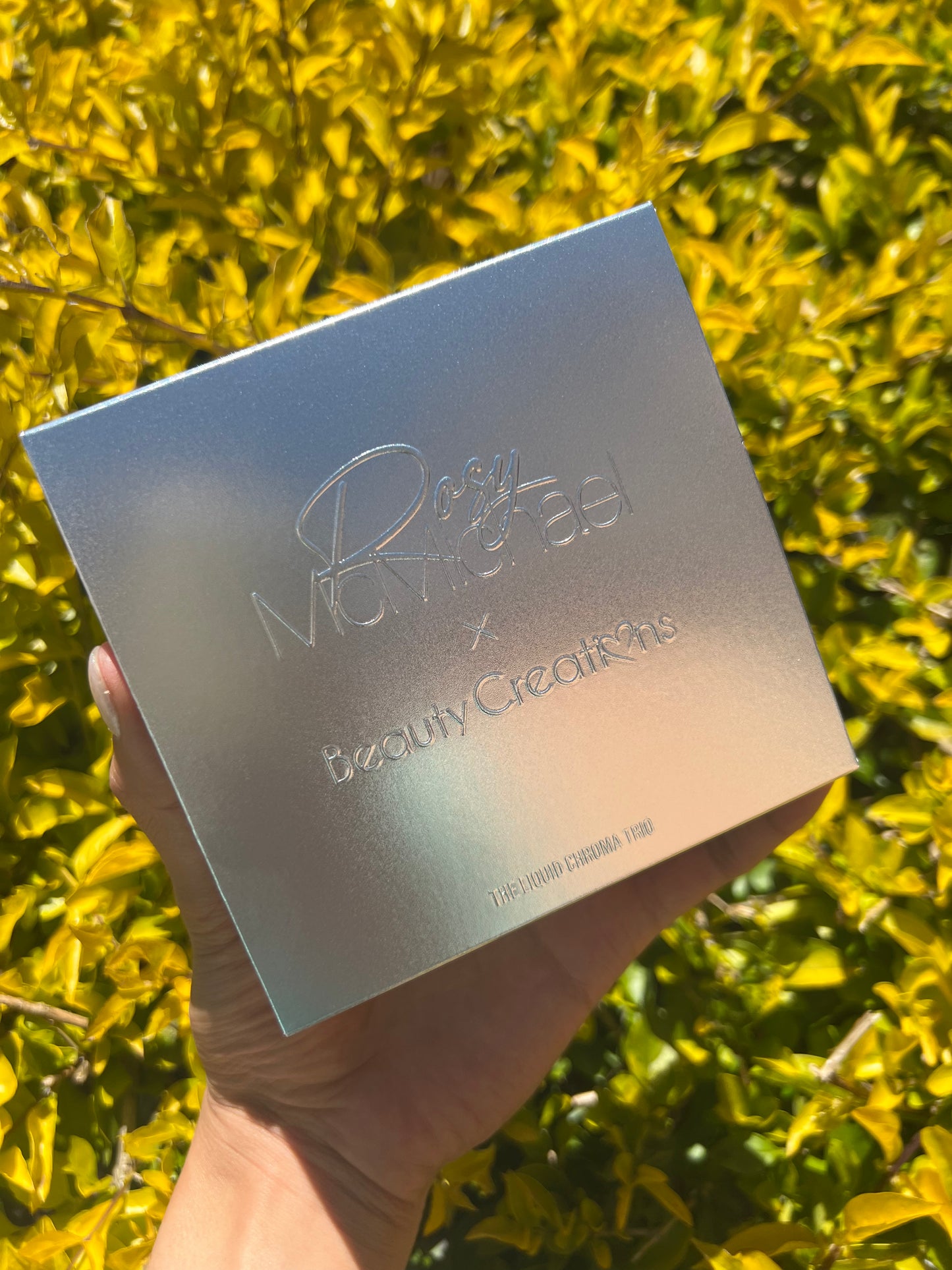 Kit de sombras líquidas Rosy Multicromaticas