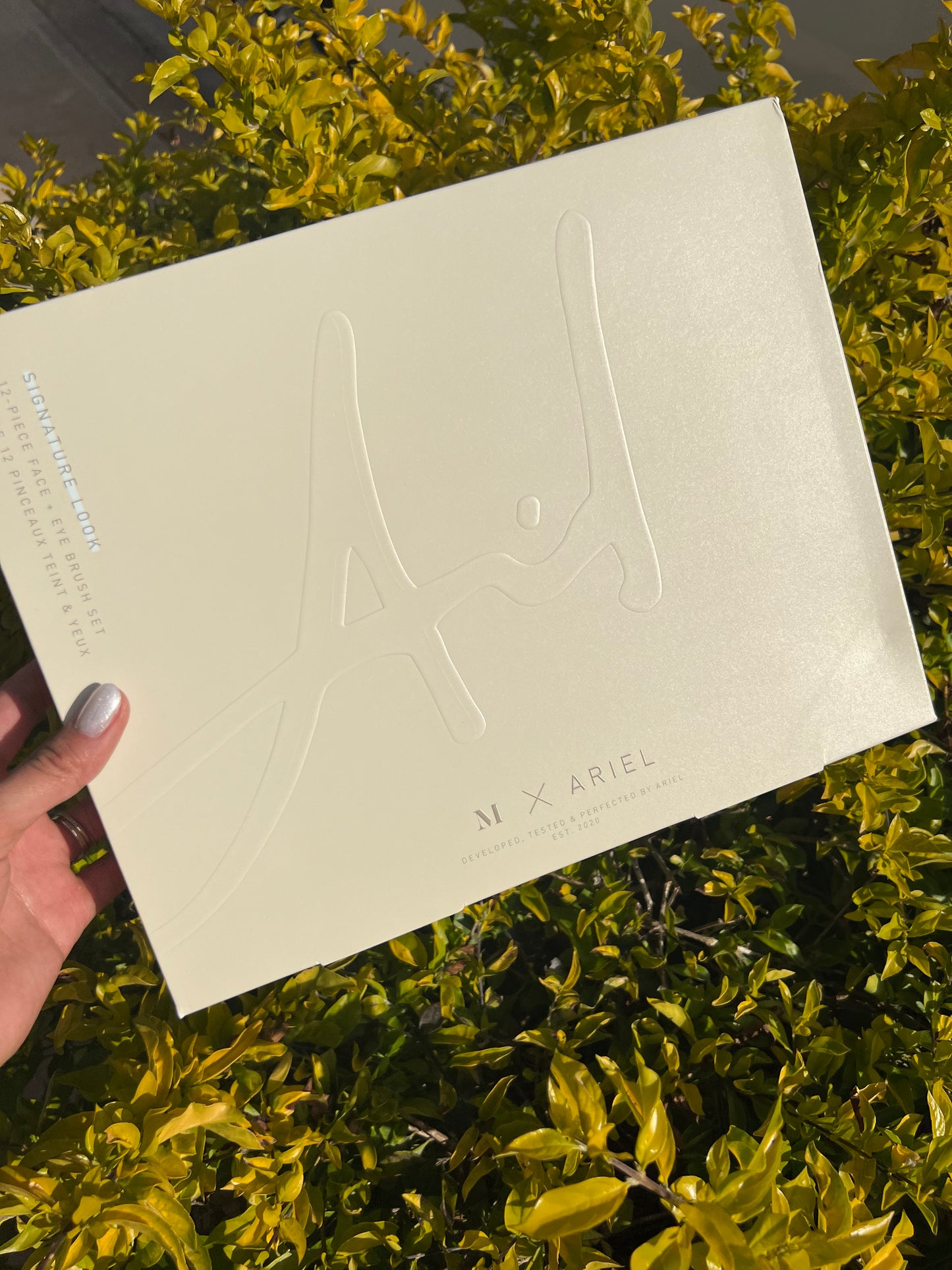 Signature Look 12 piece Face & Eye Brush Set Ariel x Morphe