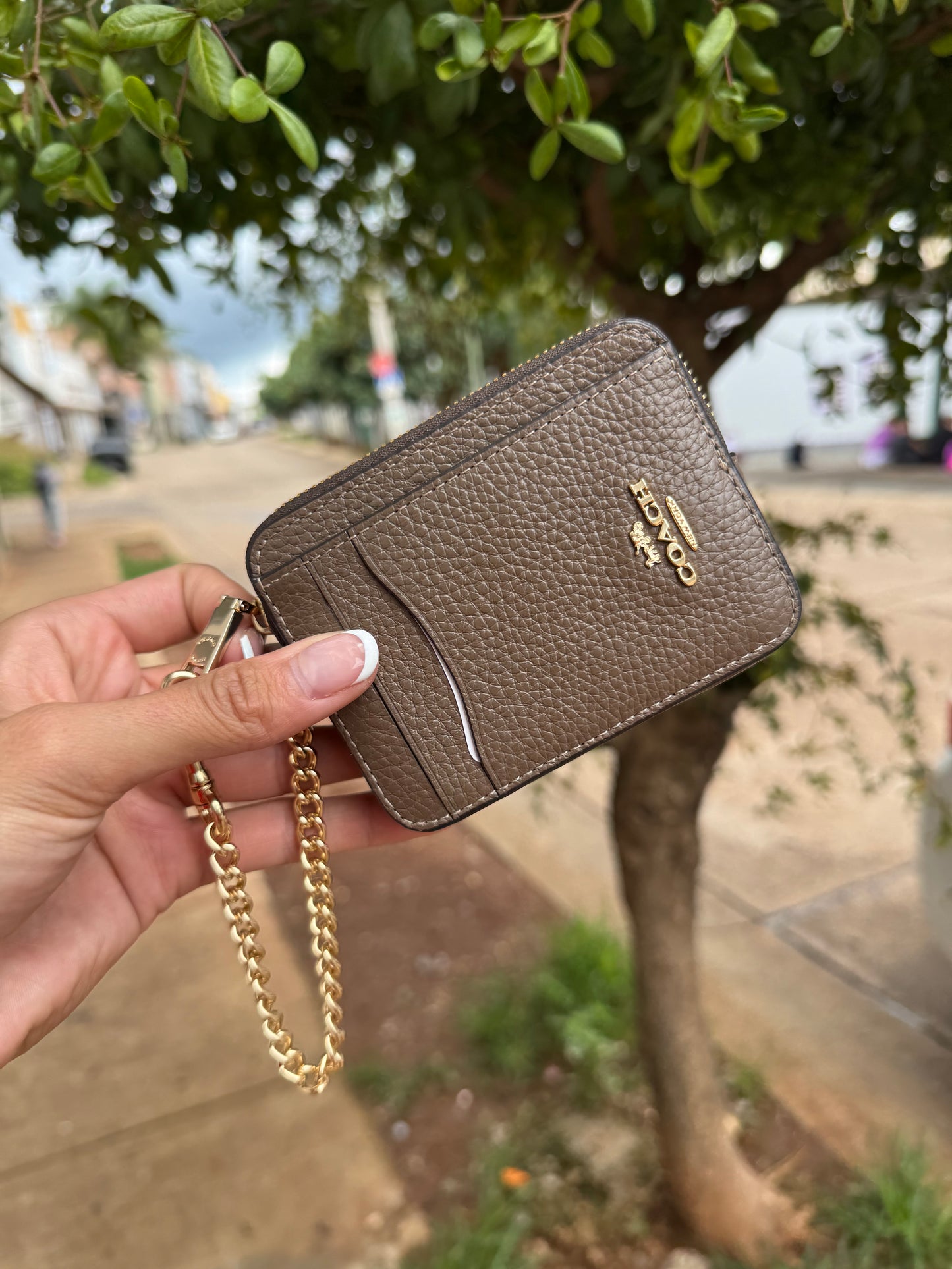 Zip Card Case Coach Cafe