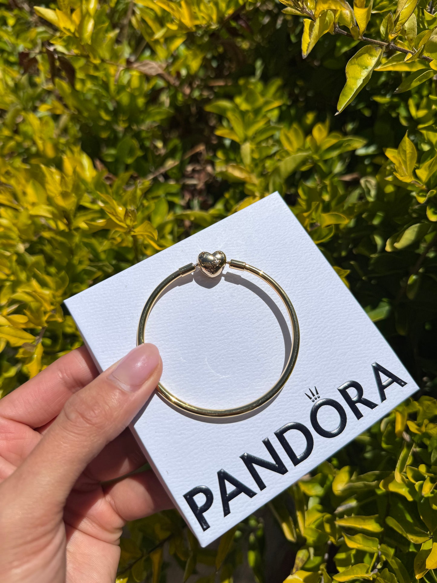 Brazalete Rígido Oro PANDORA 16cm- 17cm