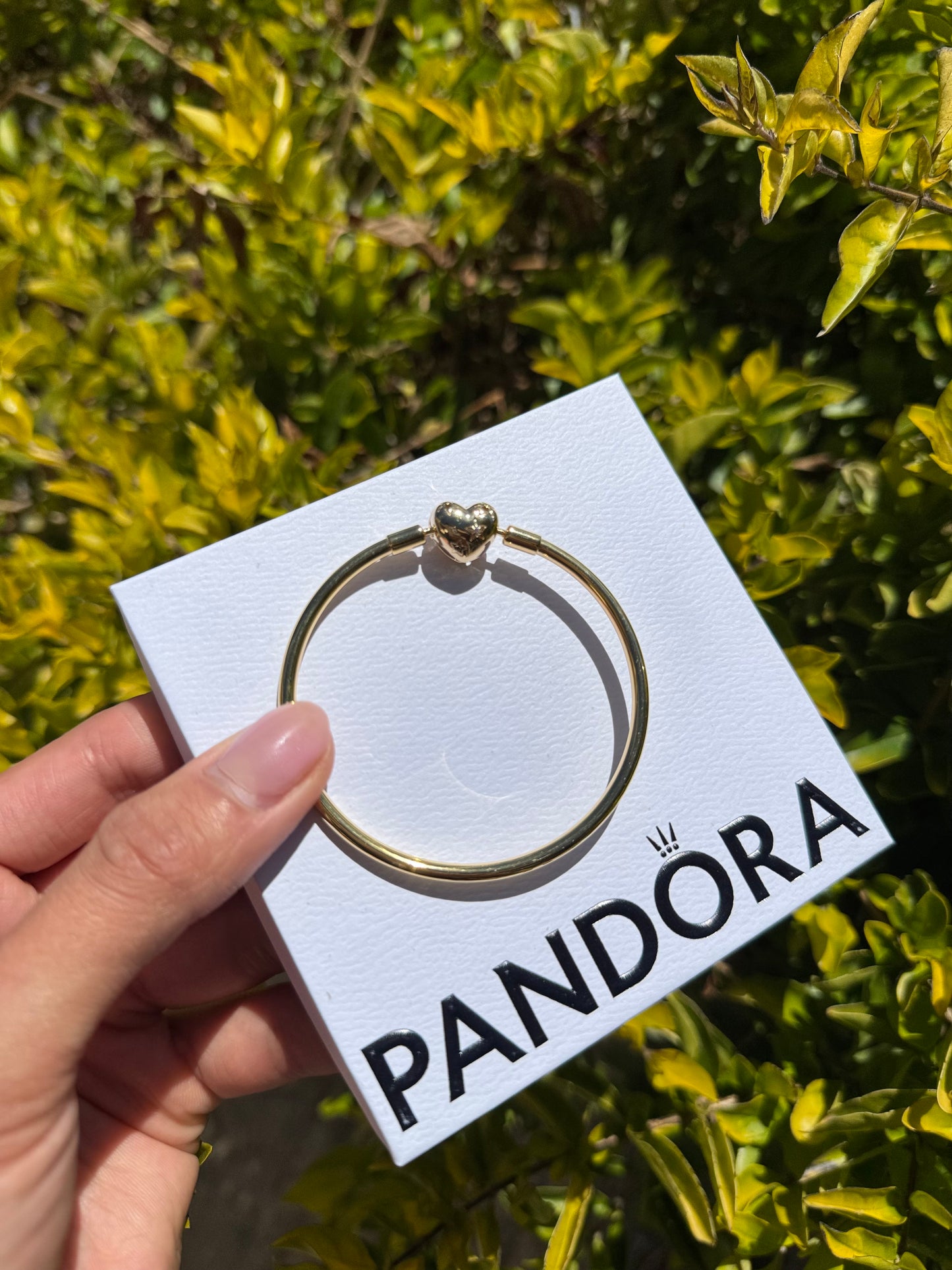 Brazalete Rígido Oro PANDORA 16cm- 17cm