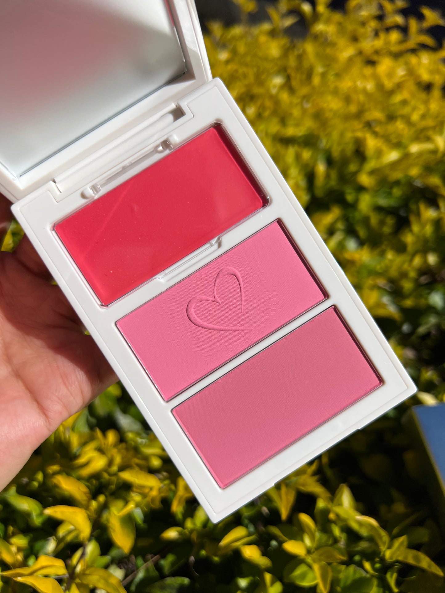 Pinky’s Blush Trio Rosy McMichael- Trio de rubores Rosy