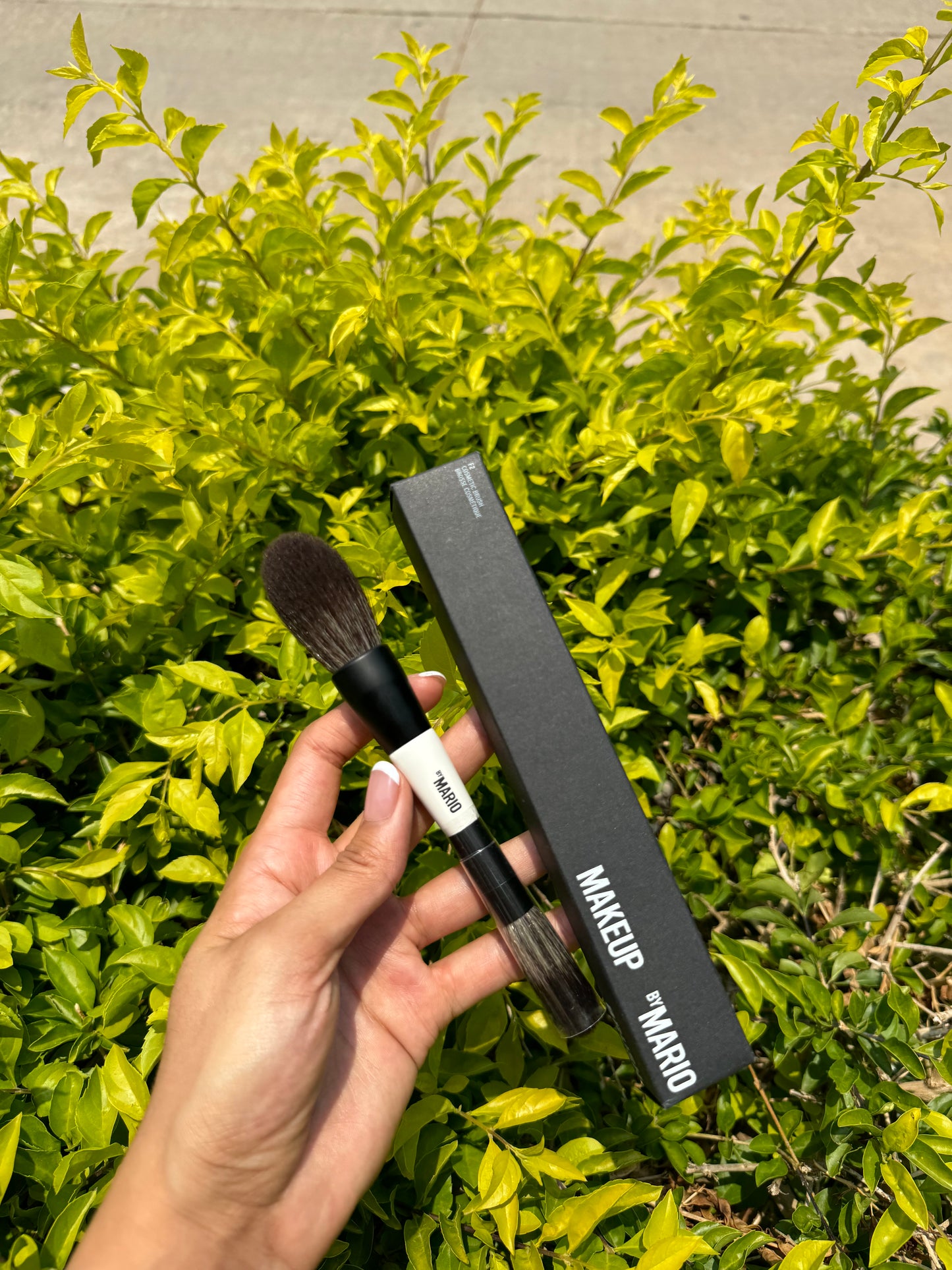 MAKEUP BRUSH MAKEUP BY MARIO F2