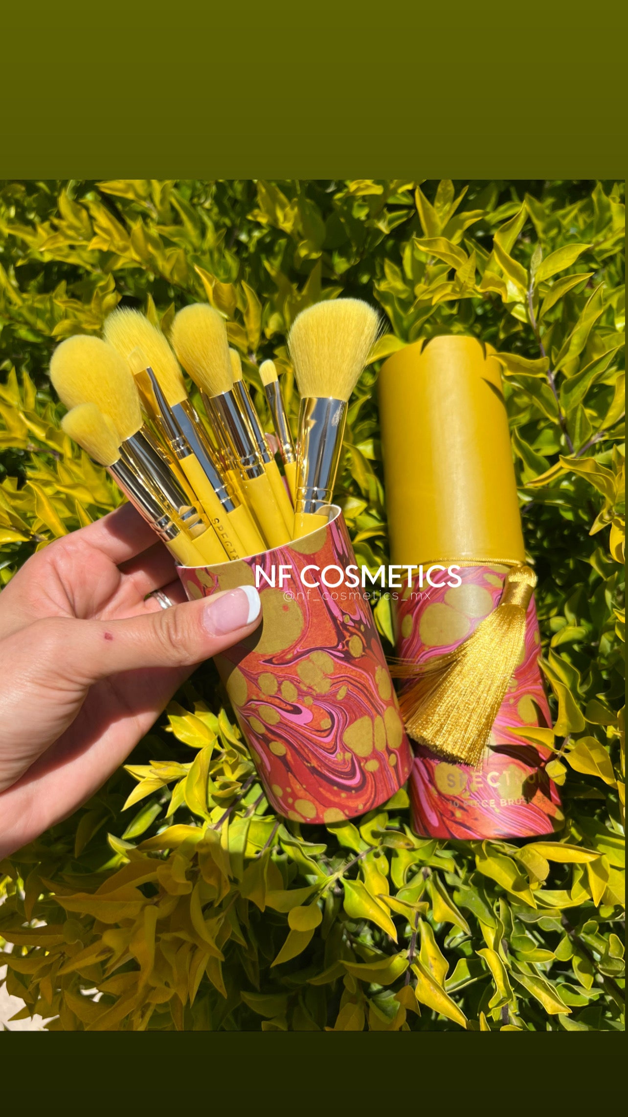 Spectrum set de 10 brochas Mostaza