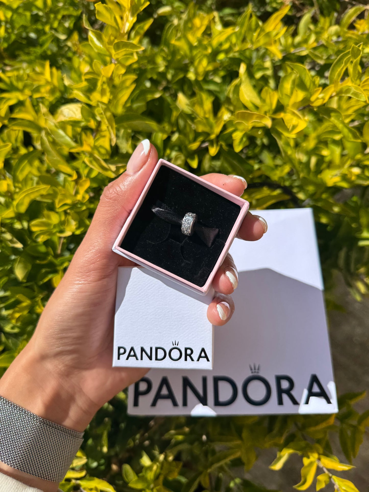 Clip de Plata con Brillantes PANDORA