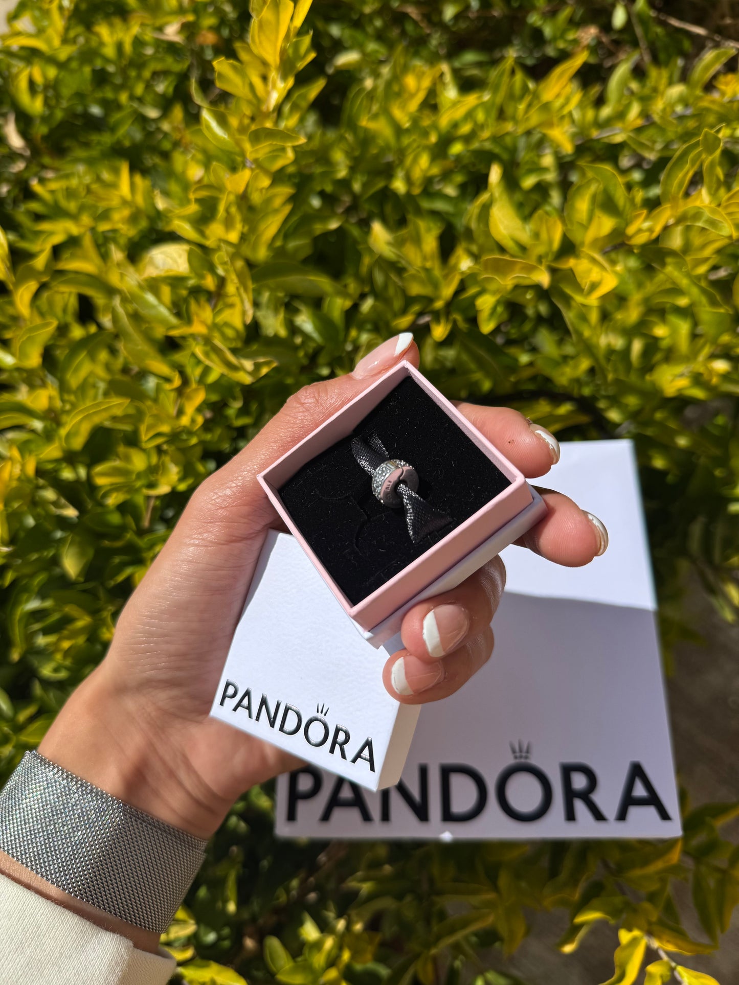 Clip de Plata con Brillantes PANDORA