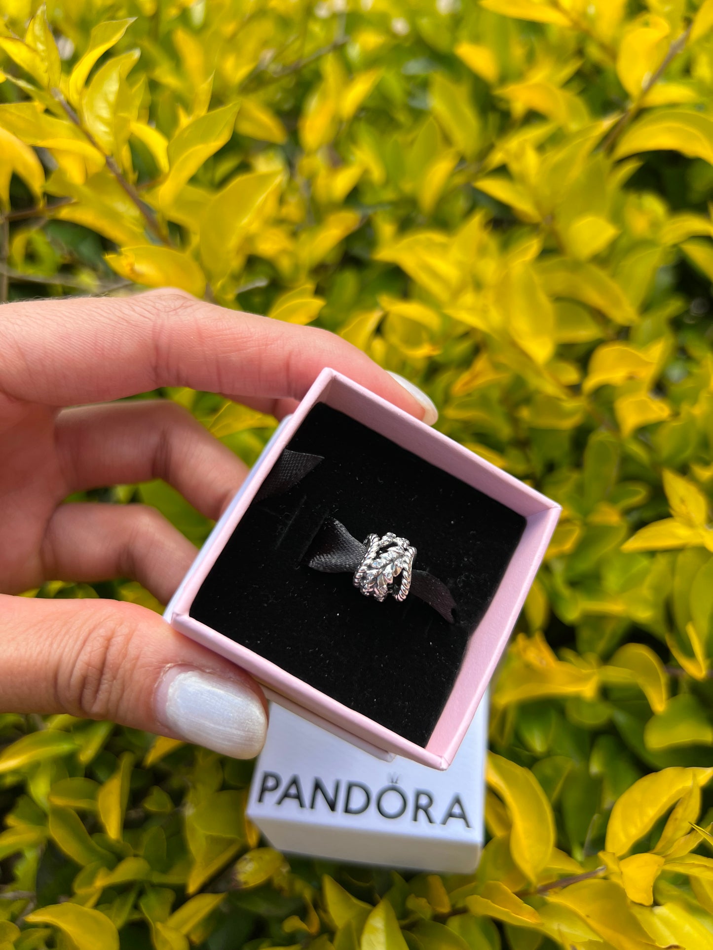 Charm espigas con brillo en plata PANDORA ESPAÑA