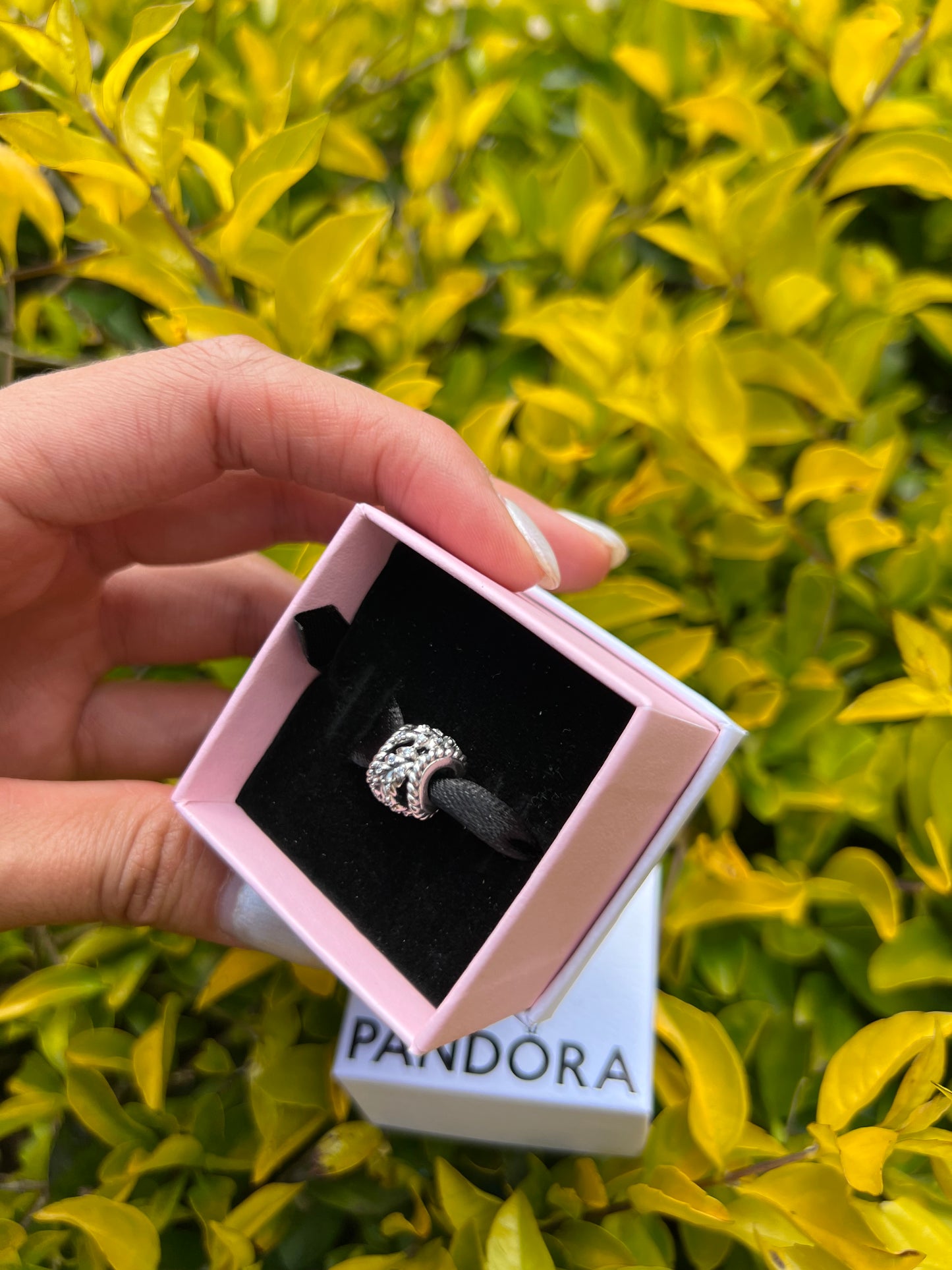 Charm espigas con brillo en plata PANDORA ESPAÑA