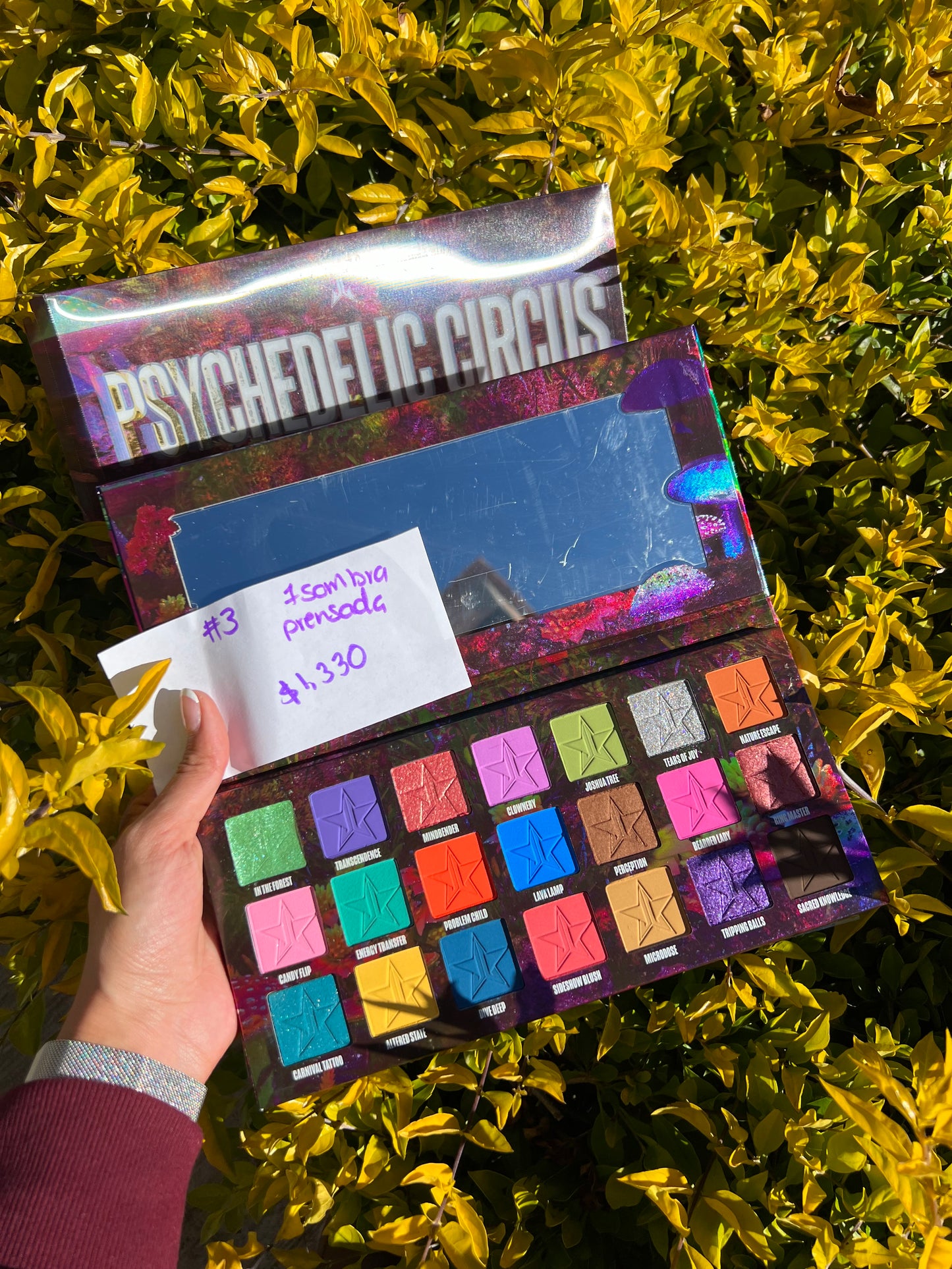 PSYCHEDELIC CIRCUS PALETTE JEFFREE STAR OUTLET #3