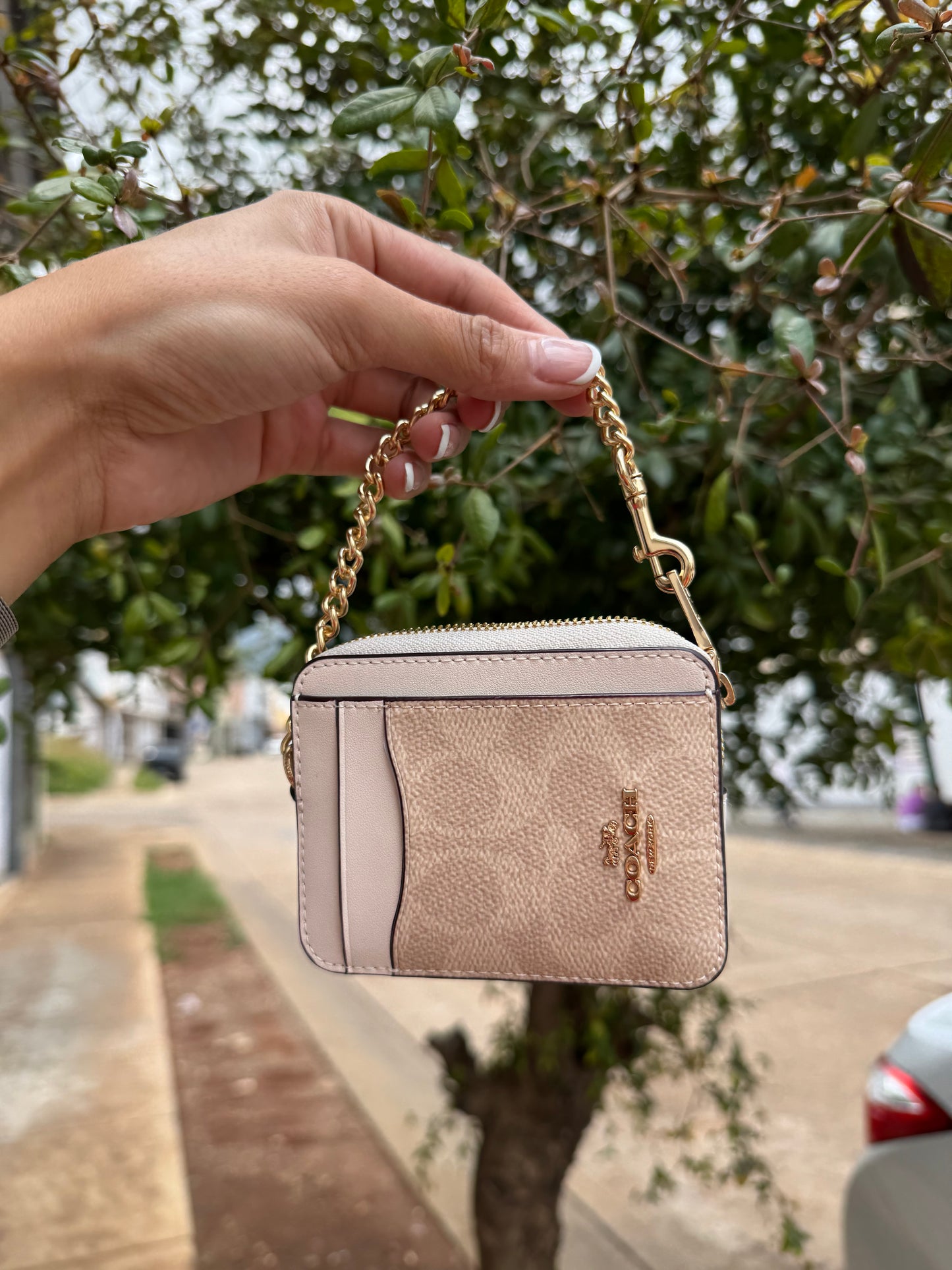 Zip Card Case Coach In Signature Canvas Beige con Blanco