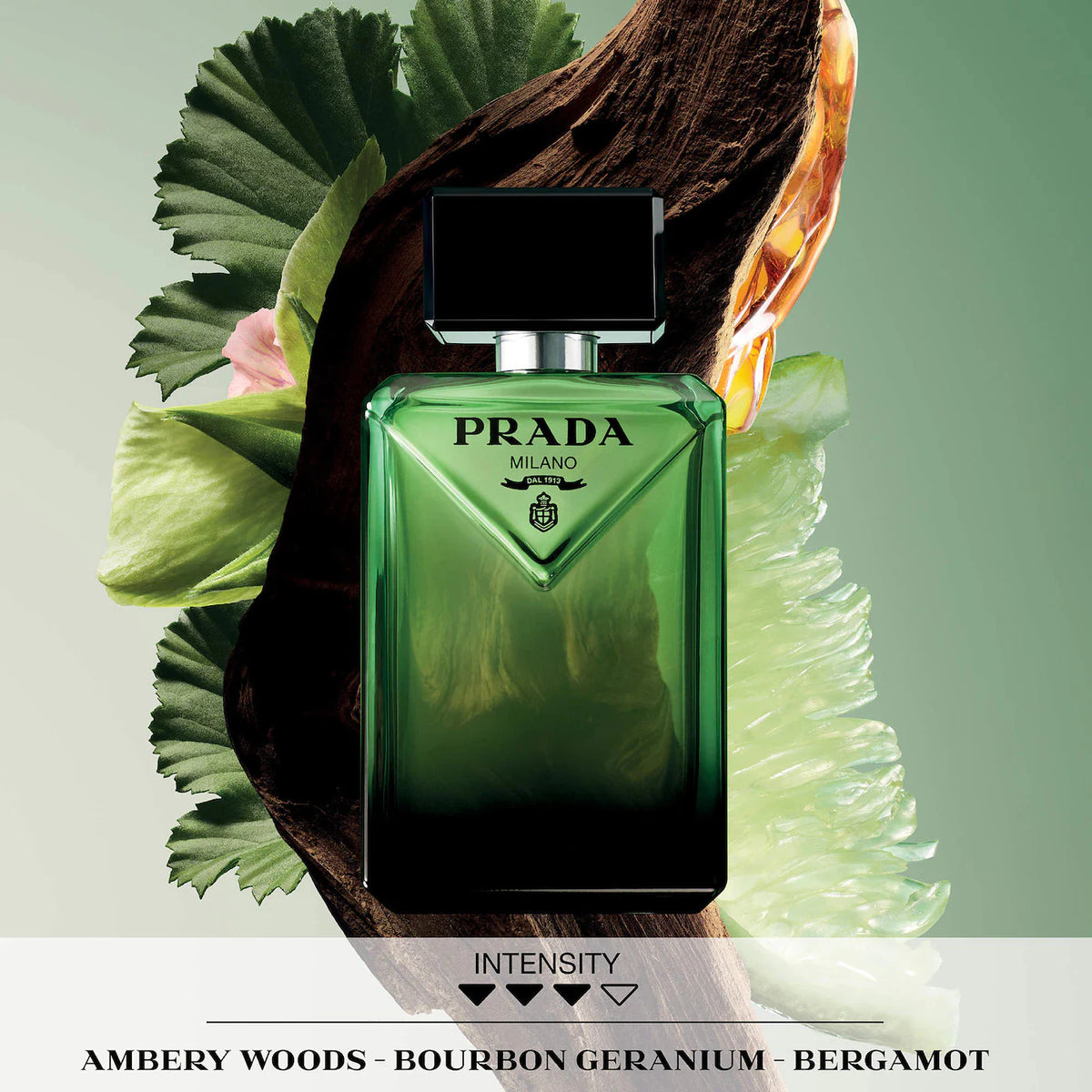 PREVENTA- Sephora Favorites- Holiday Mini Deluxe Cologne Sampler Collectors Edition w/ Redeemable Voucher (llega a mediados de Noviembre)