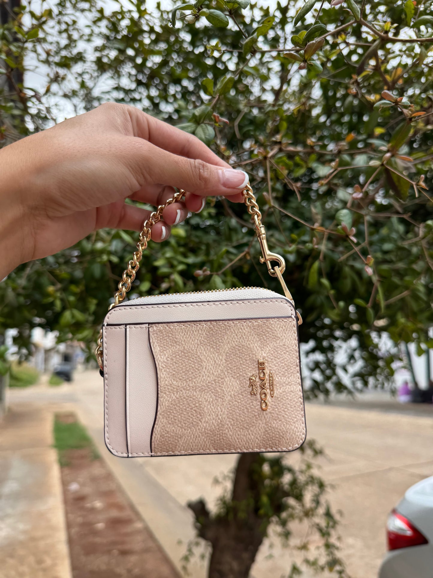 Zip Card Case Coach In Signature Canvas Beige con Blanco