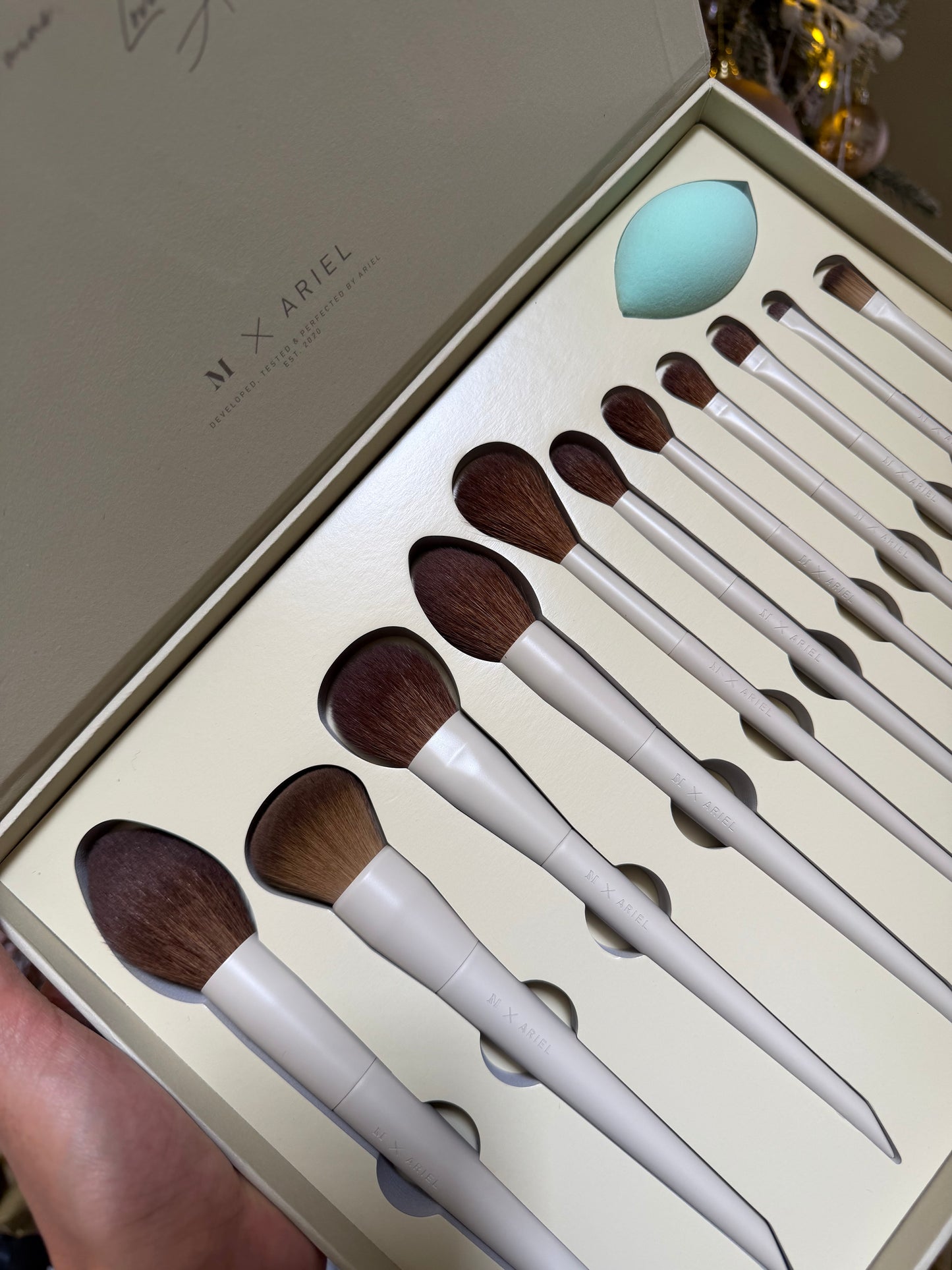 Signature Look 12 piece Face & Eye Brush Set Ariel x Morphe