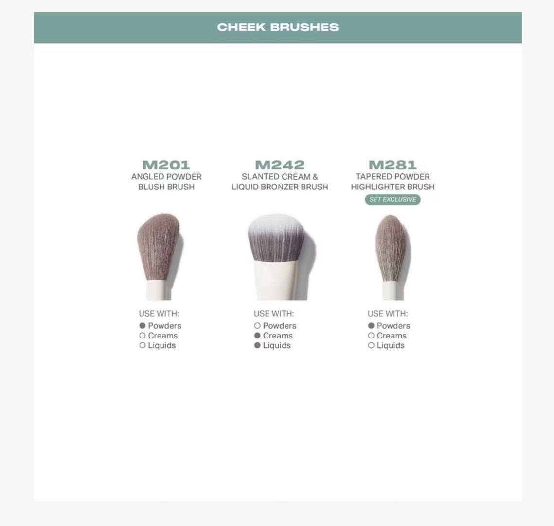 Morphe- Ready, Set, Pro 16-Piece Face & Eye Brush Set (copia)