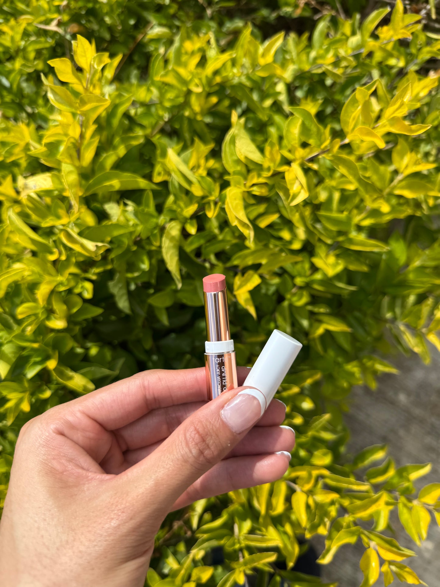 Mini Lip Juicy Tarte- Tono Primrose