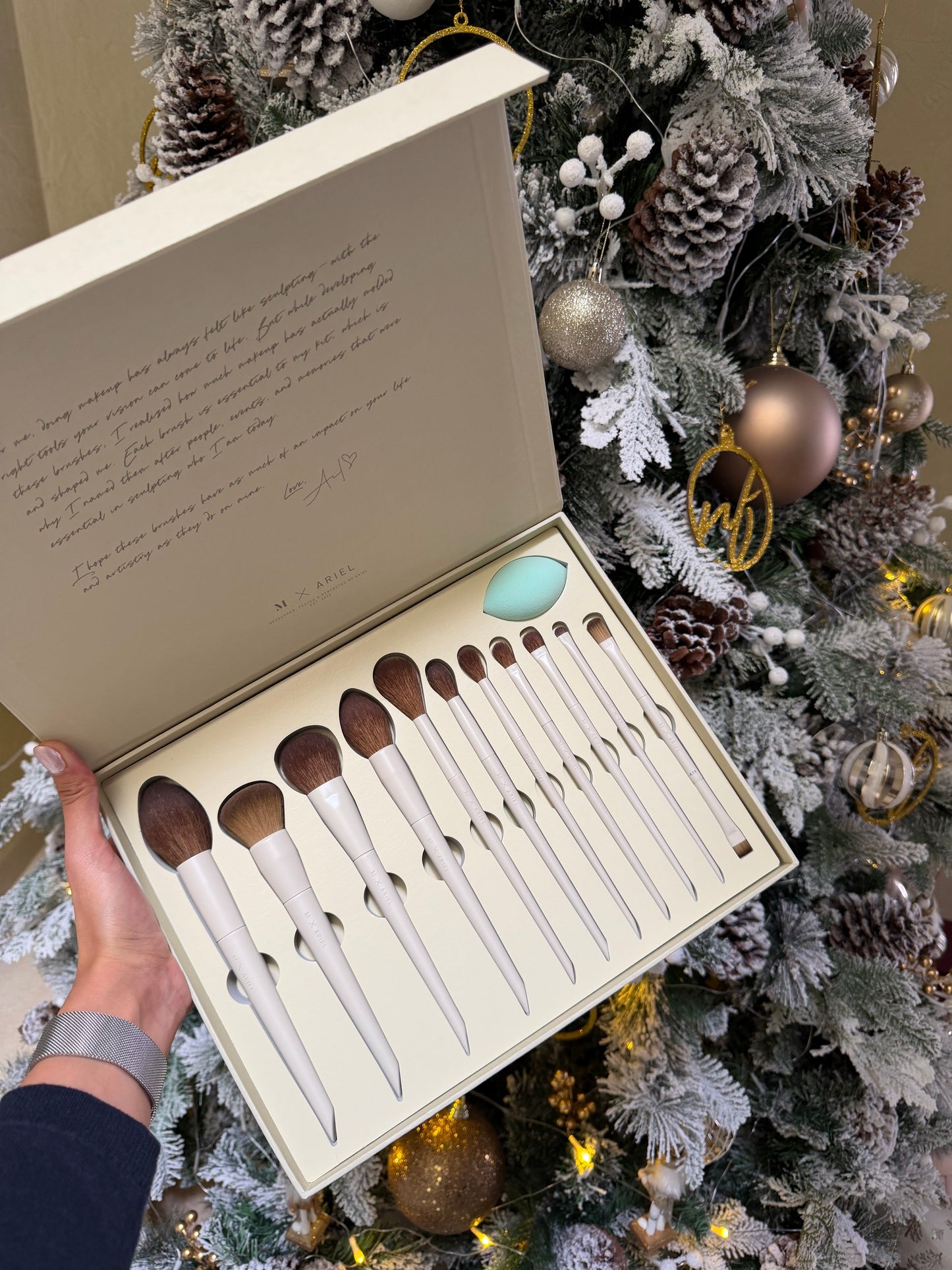 Signature Look 12 piece Face & Eye Brush Set Ariel x Morphe