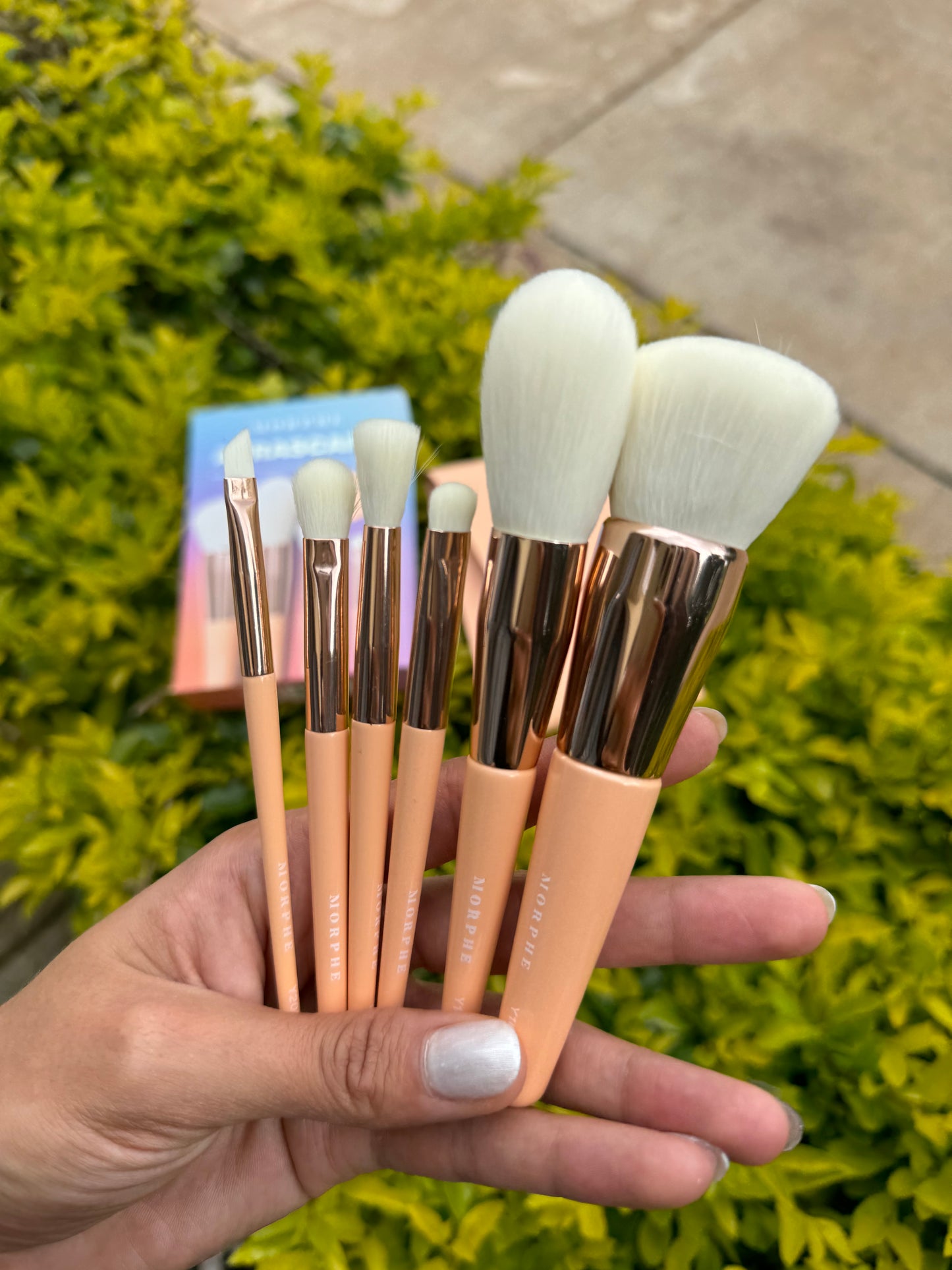 AURASCAPE Brush Set Morphe 6pz