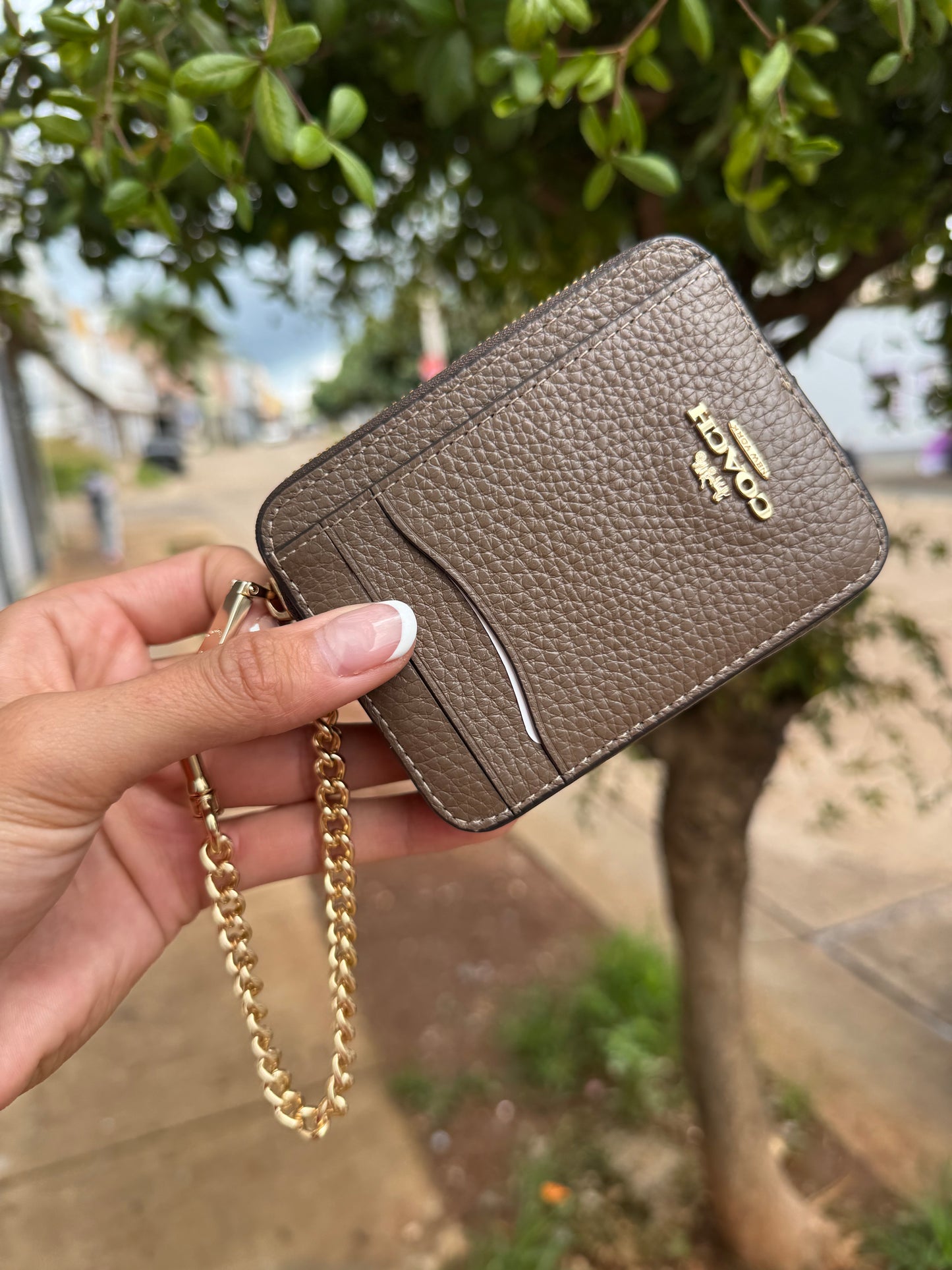 Zip Card Case Coach Cafe