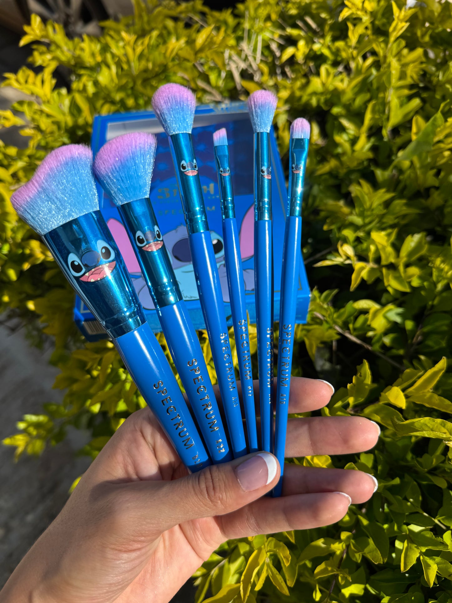 Set de Brochas Stitch X Spectrum