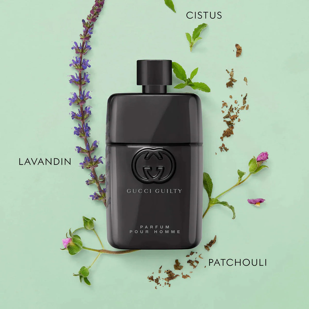 PREVENTA- Sephora Favorites- Holiday Mini Deluxe Cologne Sampler Collectors Edition w/ Redeemable Voucher (llega a mediados de Noviembre)