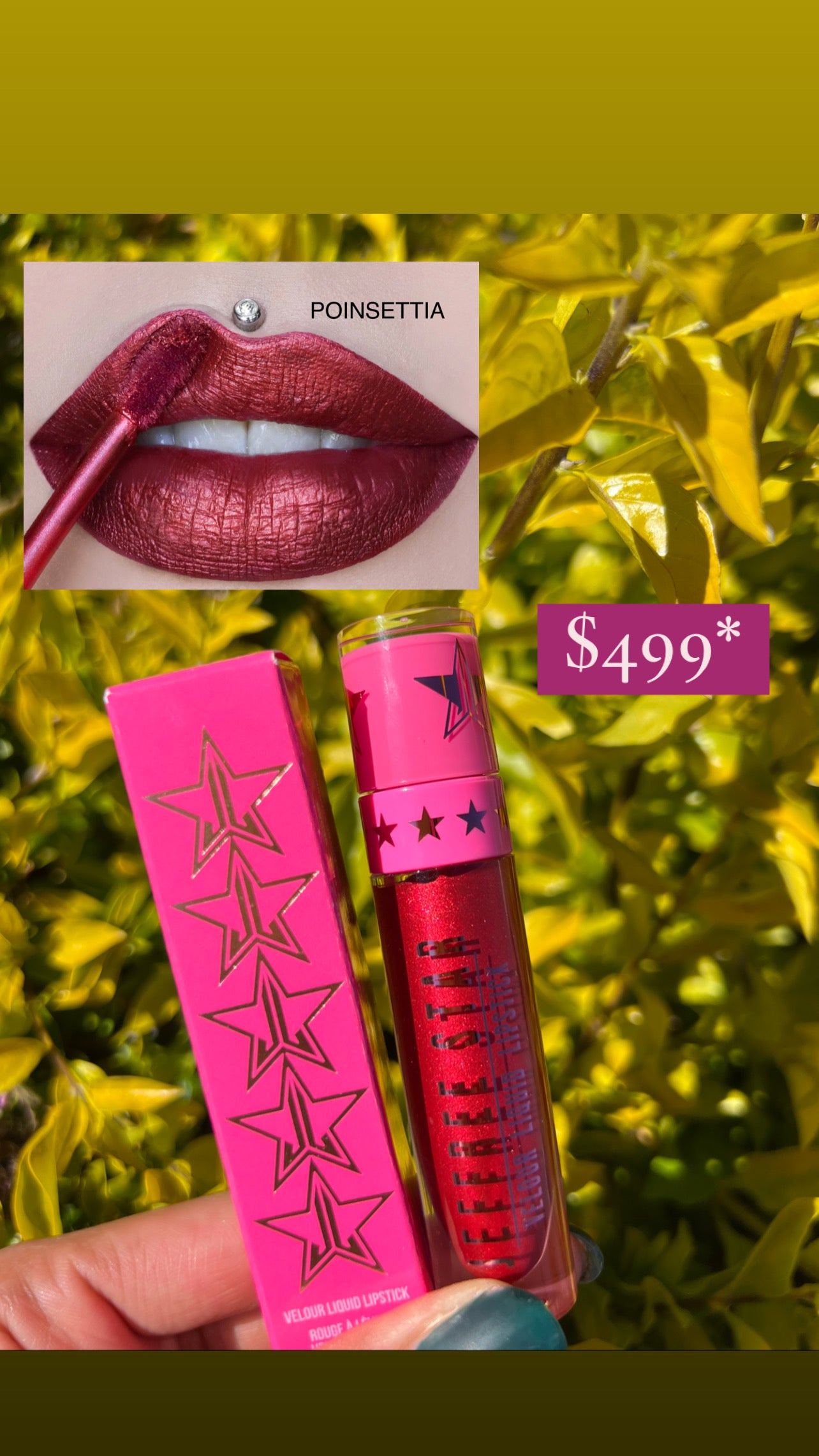 Velour Liquid Lipstick Jeffree Star