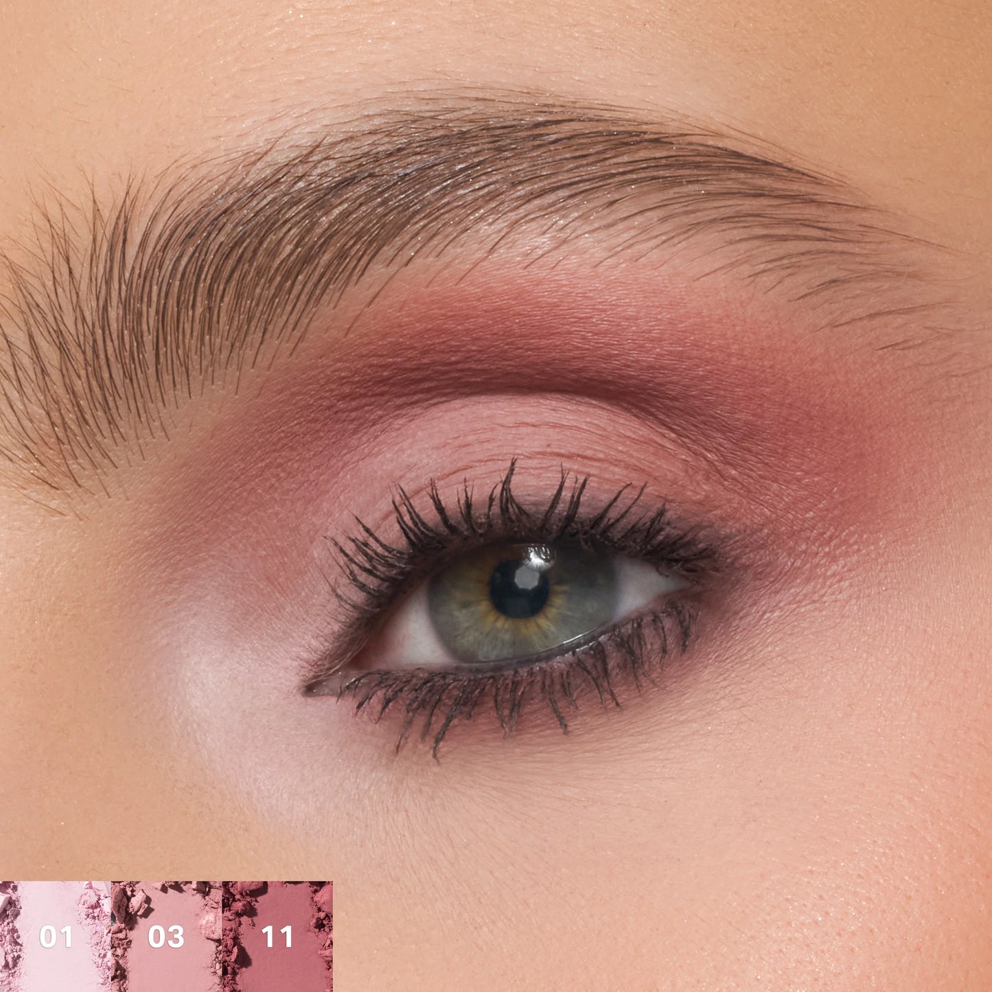MORPHE CHROMAPLUS 12-PAN EYESHADOW PALETTE- Rose Frequency