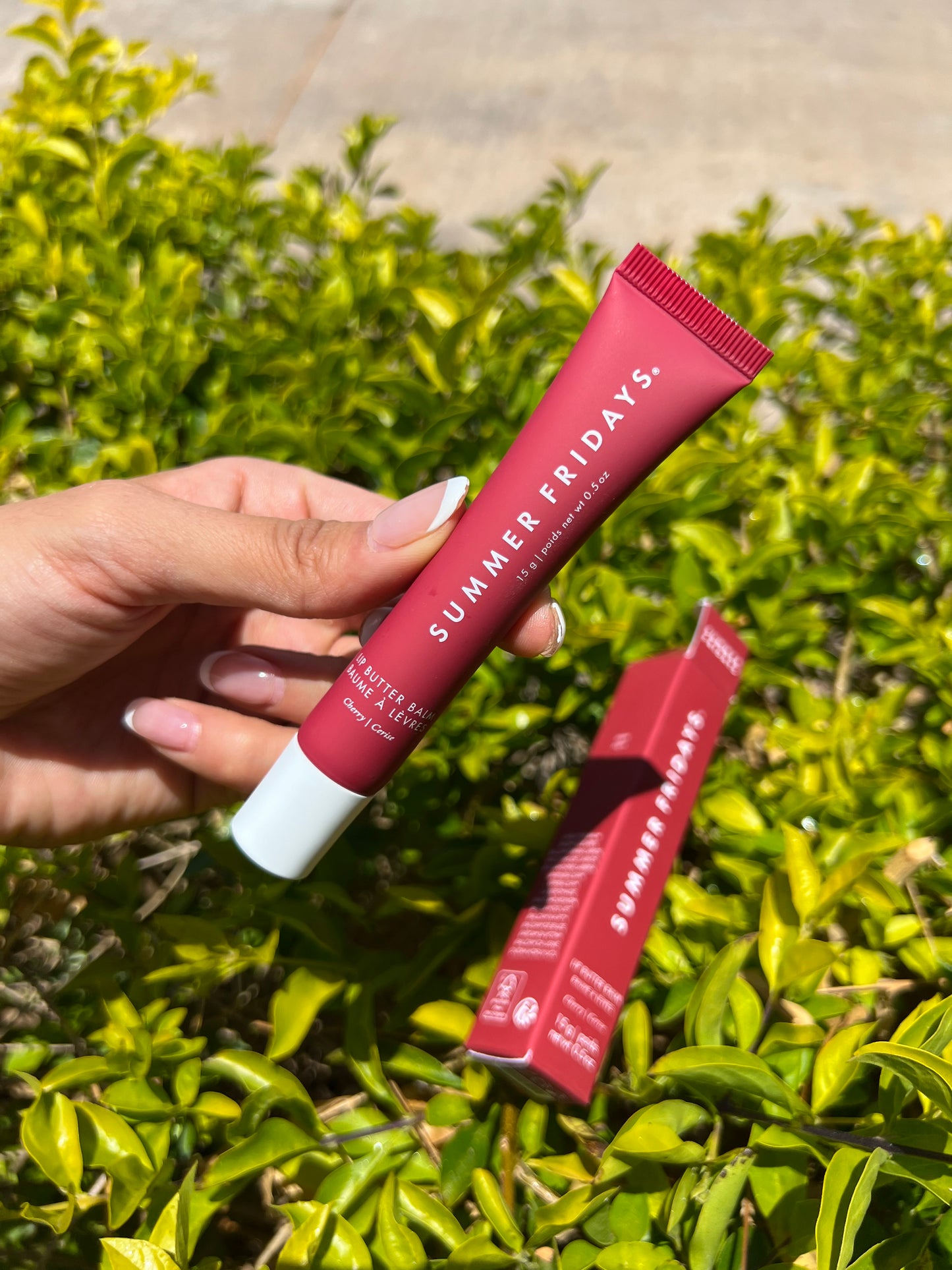 Lip Butter Balm for Hydration & Shine- Summer Fridays- CHERRY