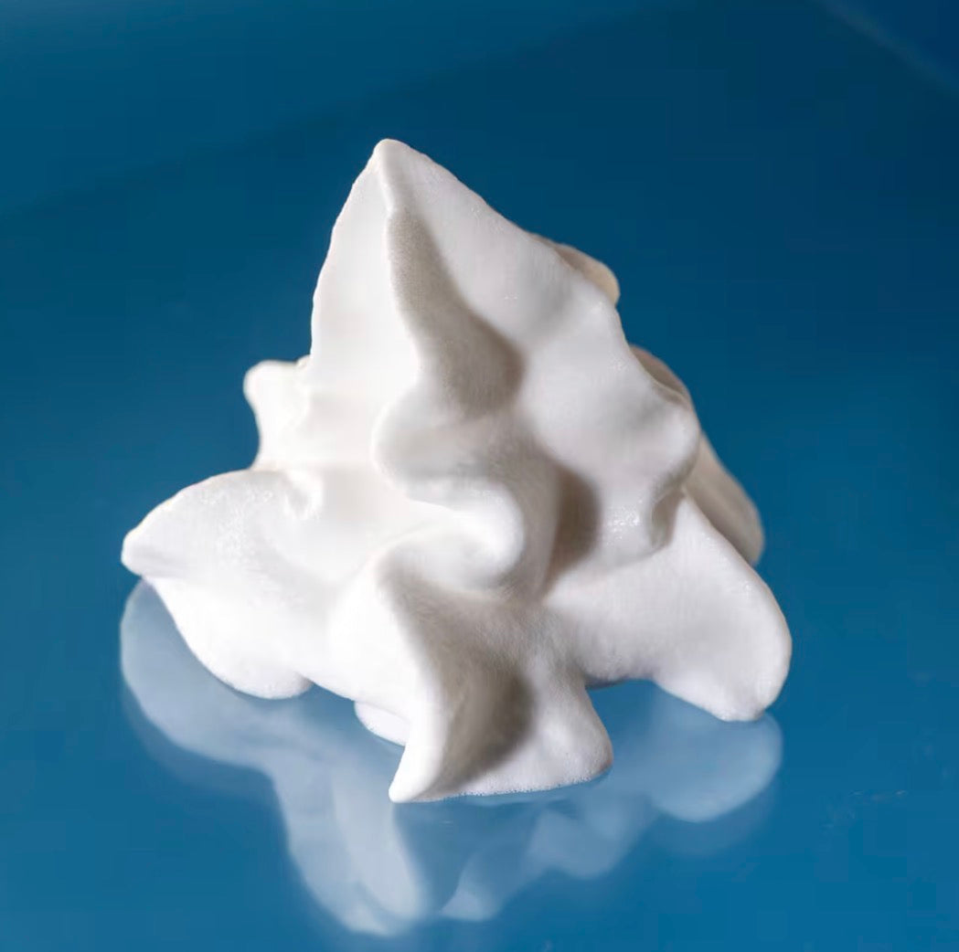 Vacation-Classic Whip SPF 30 Sunscreen Mousse