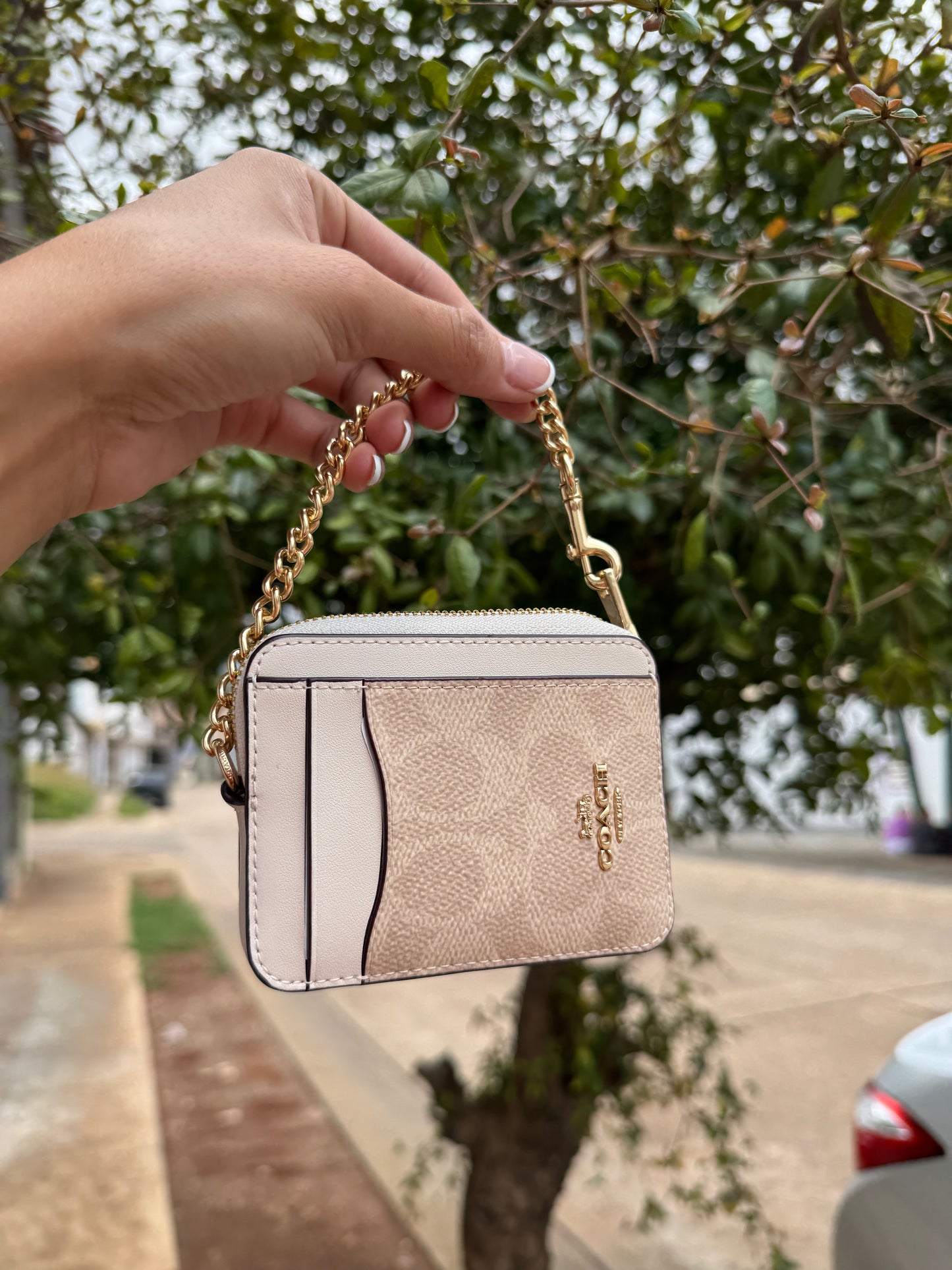 Zip Card Case Coach In Signature Canvas Beige con Blanco