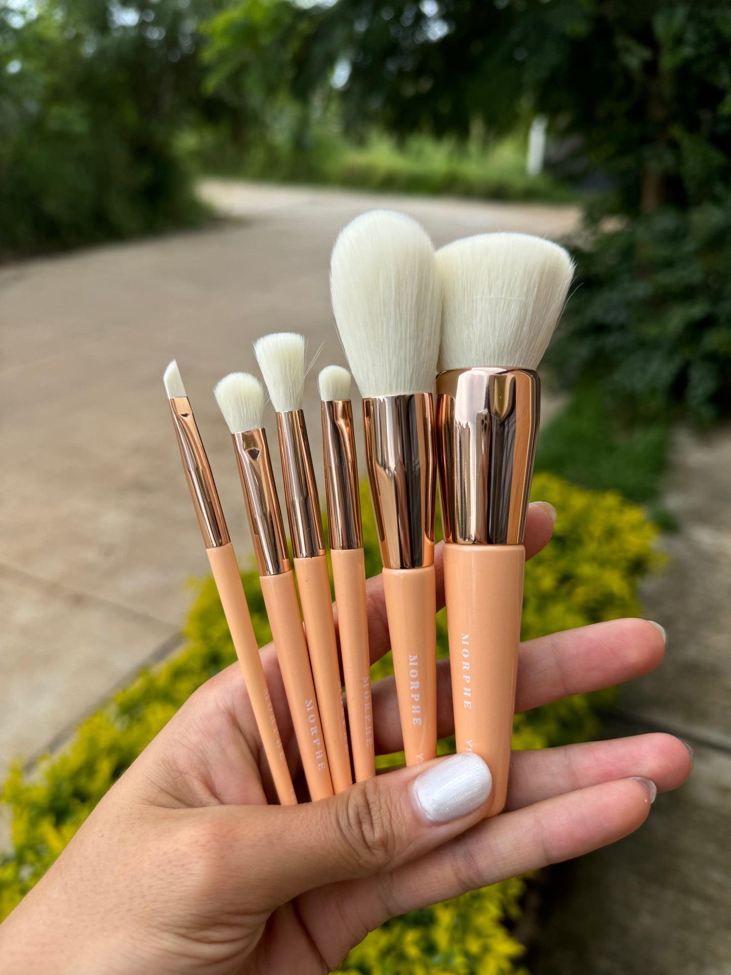 AURASCAPE Brush Set Morphe 6pz