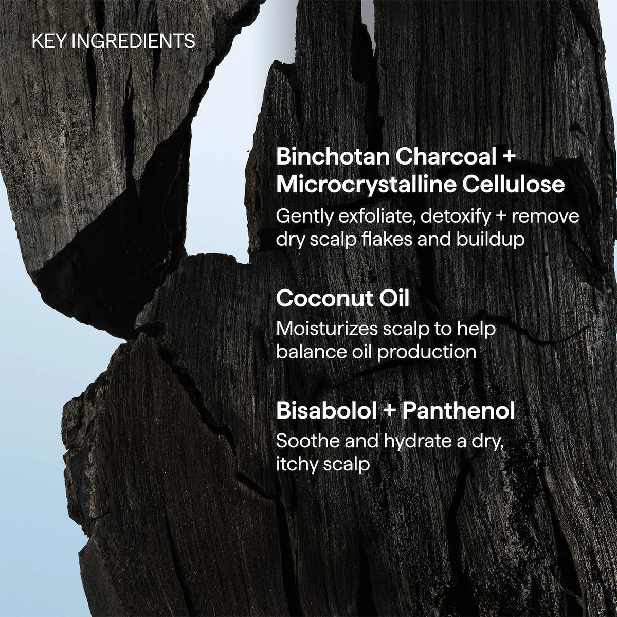 Briogeo- Scalp Revival Charcoal + Coconut Oil Micro-exfoliating Scalp Scrub Shampoo 30ml
