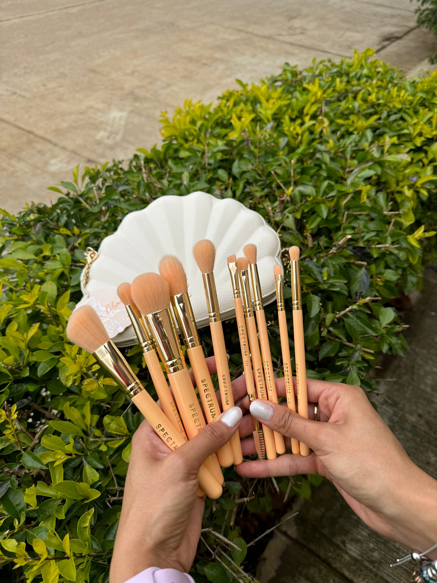 Glam Clam Brush Set 10- Piece Spectrum