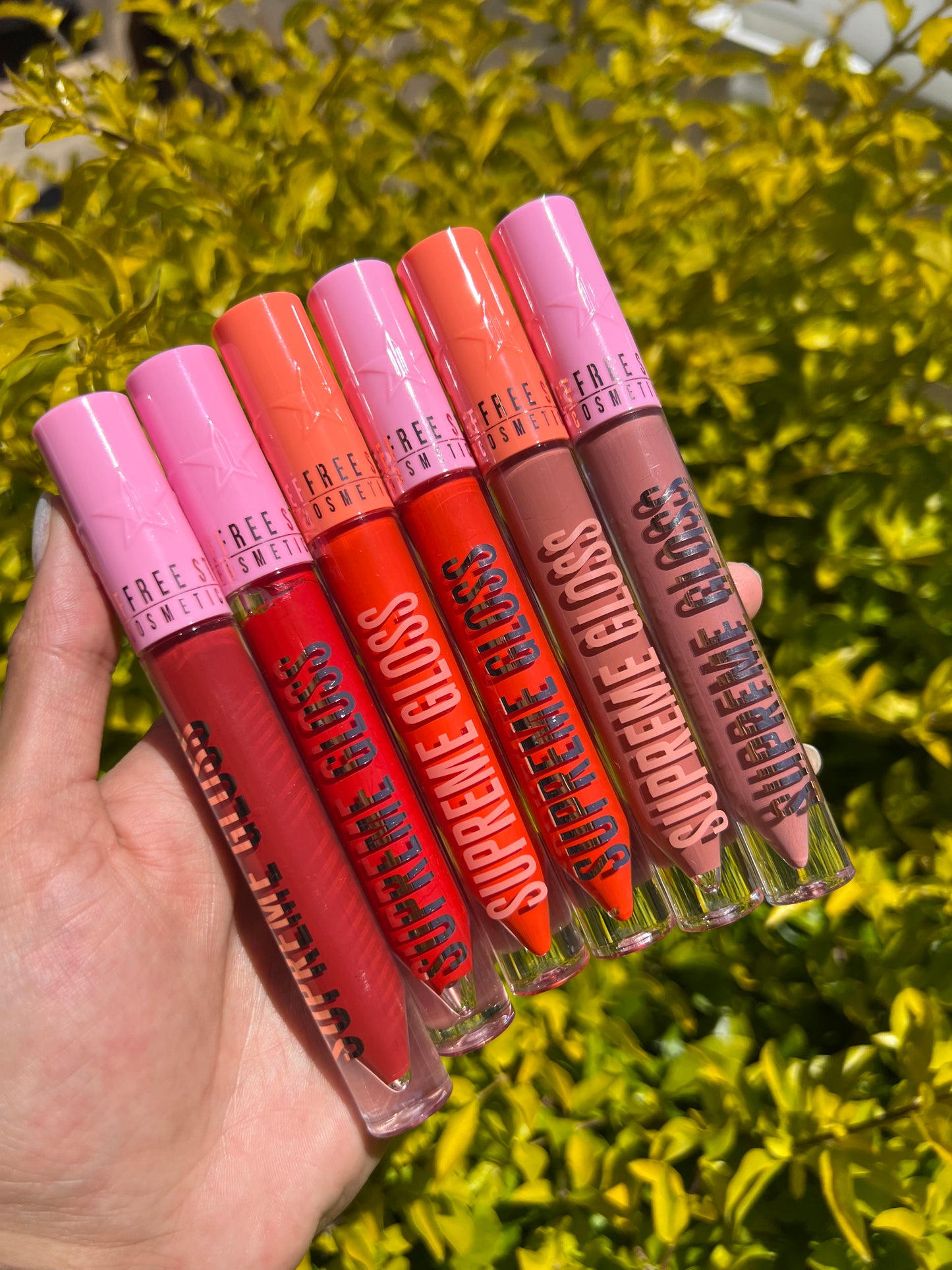 SUPREME GLOSS JEFFREE  STAR