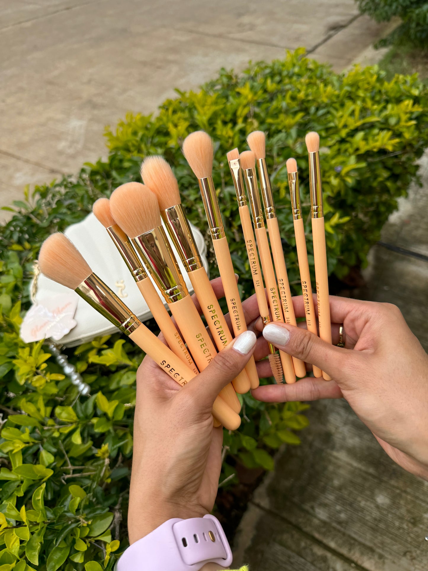 Glam Clam Brush Set 10- Piece Spectrum