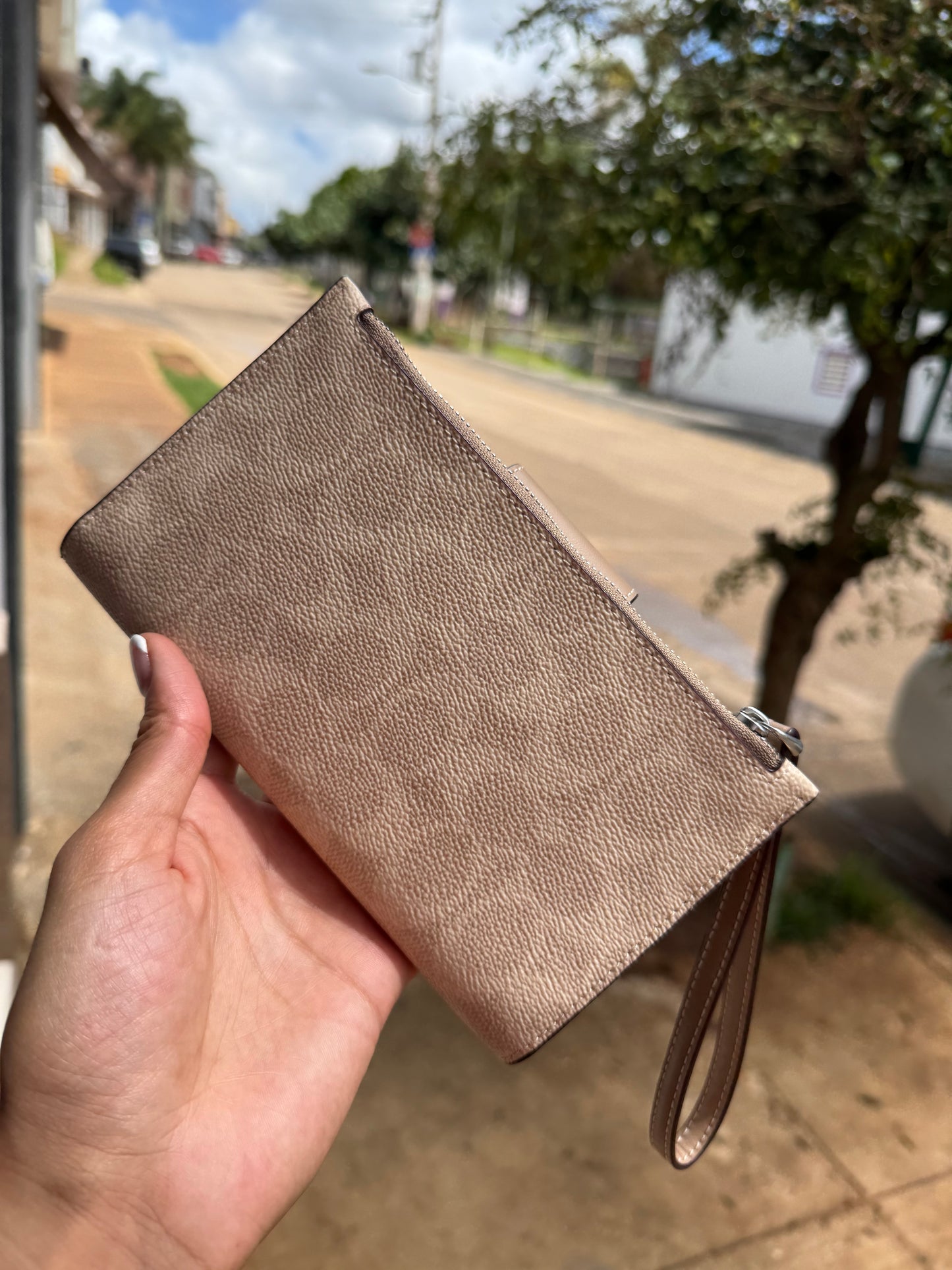 Phone Wallet COACH In Signature Canvas Silver/Sand/Taupe