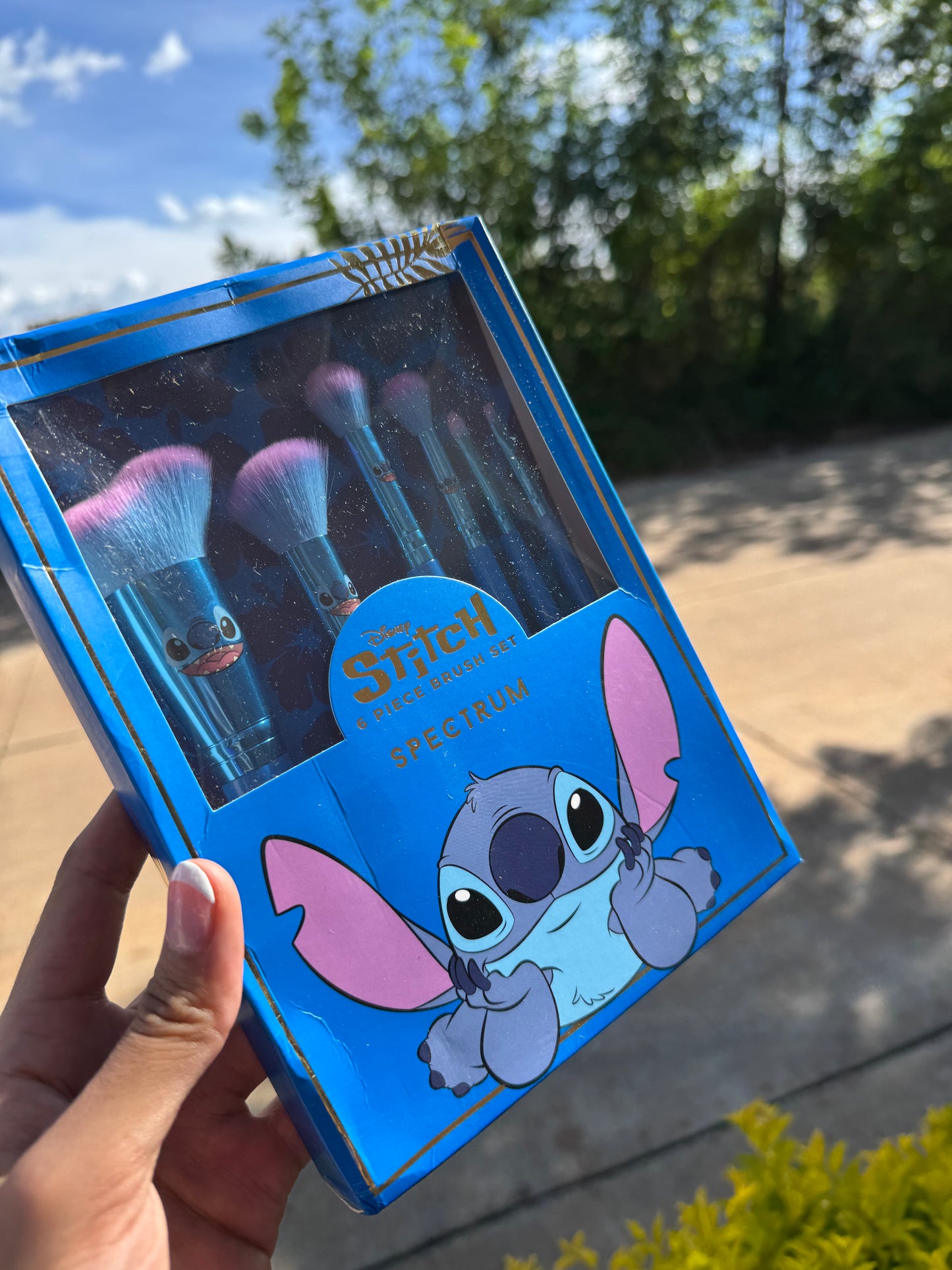 Set de Brochas Stitch X Spectrum