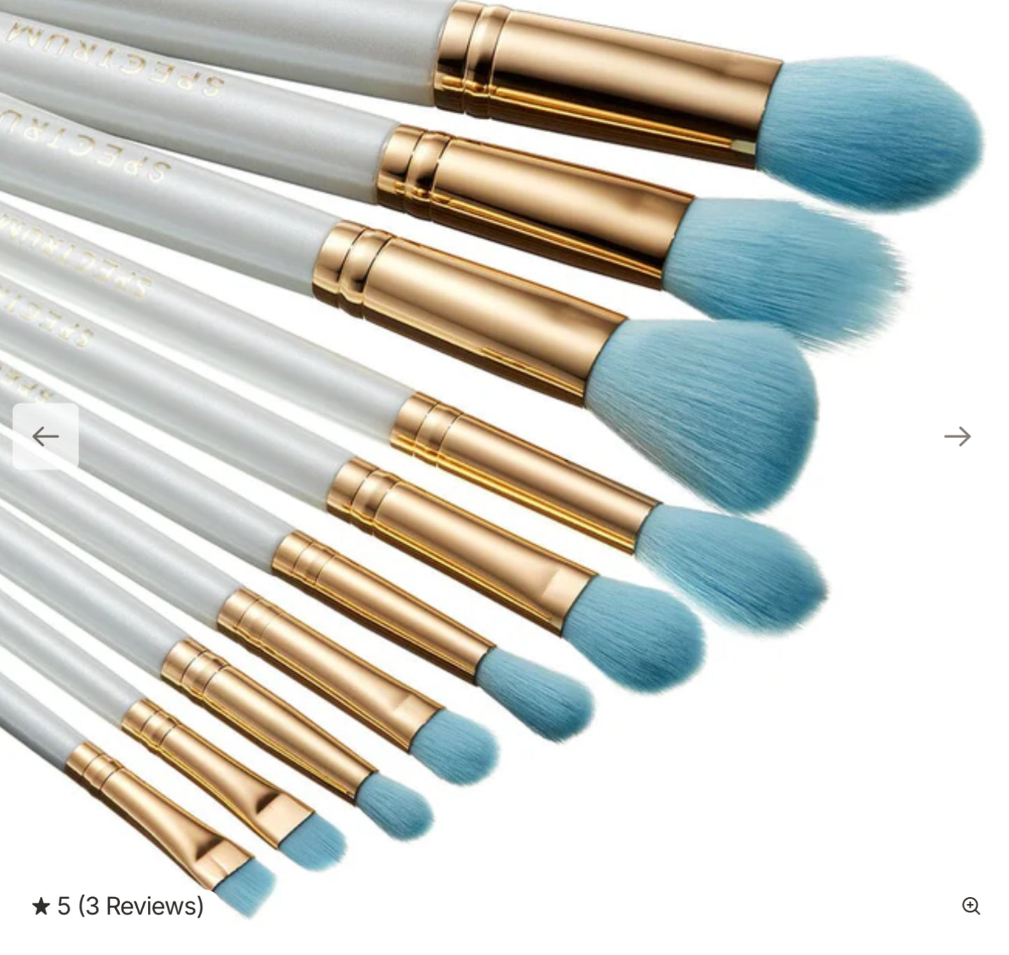 To Have and To Hold 10pz Brush Set Spectrum