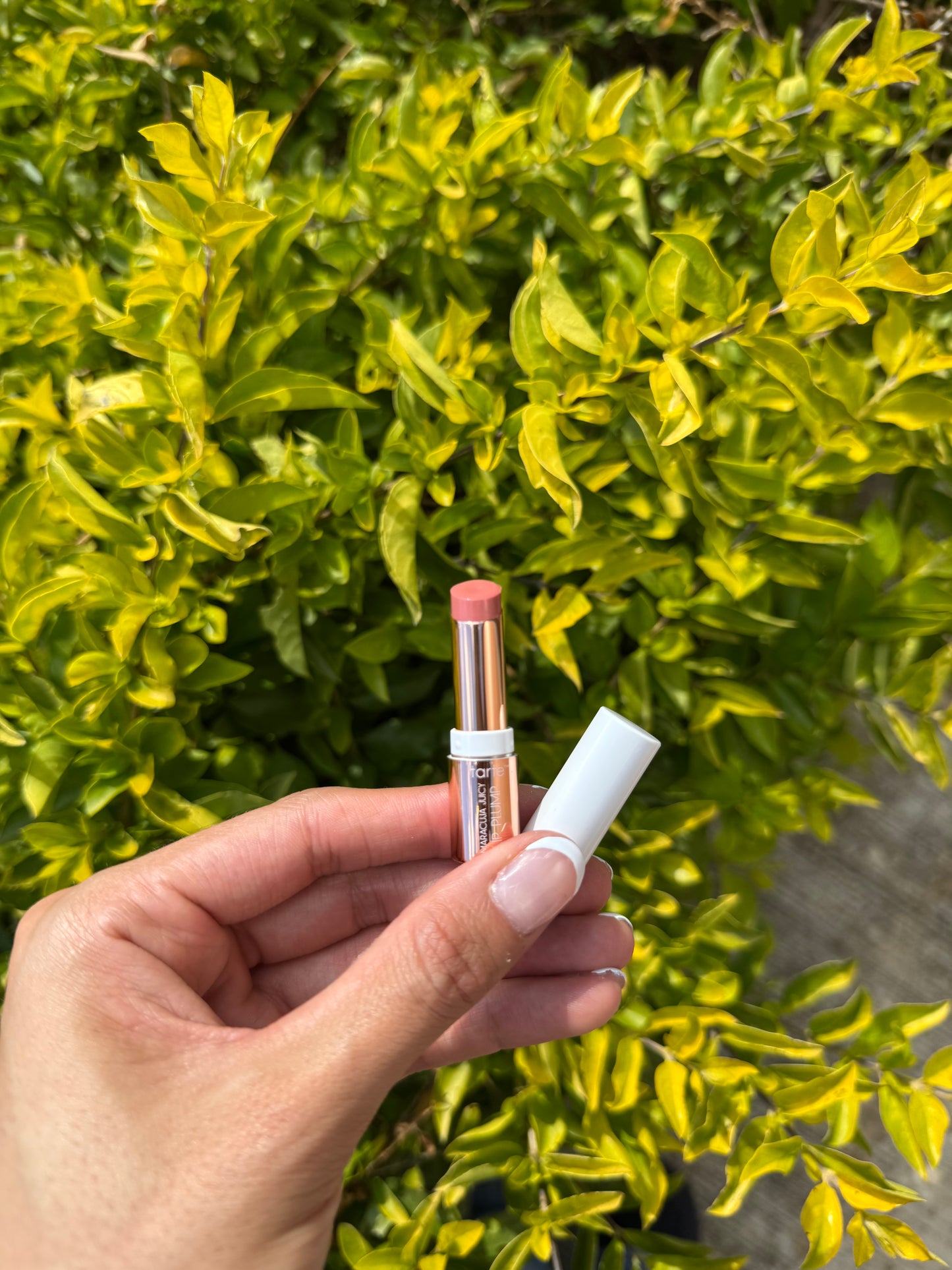 Mini Lip Juicy Tarte- Tono Primrose